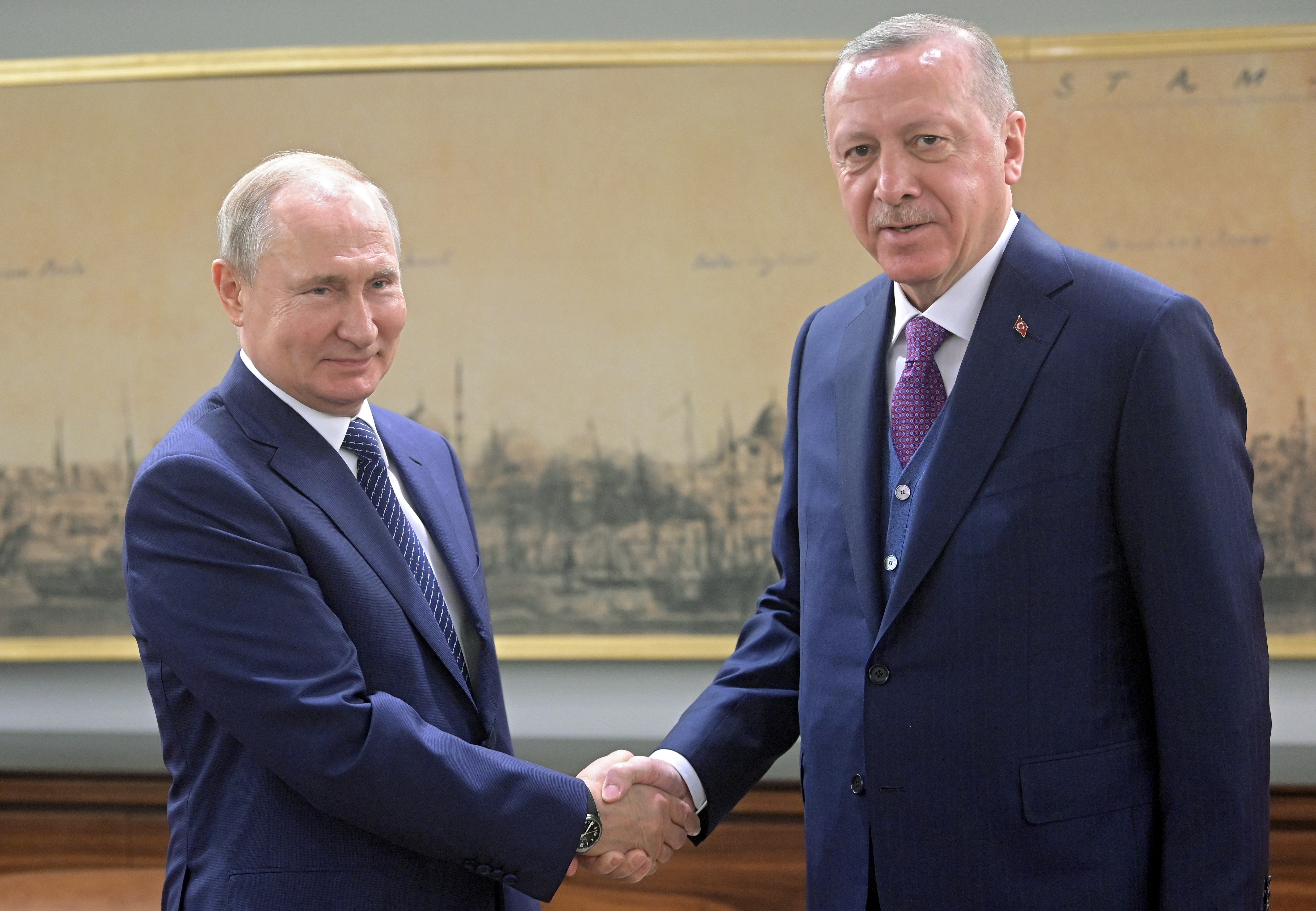 Erdogan, Putin launch new gas line, vow Mideast diplomacy