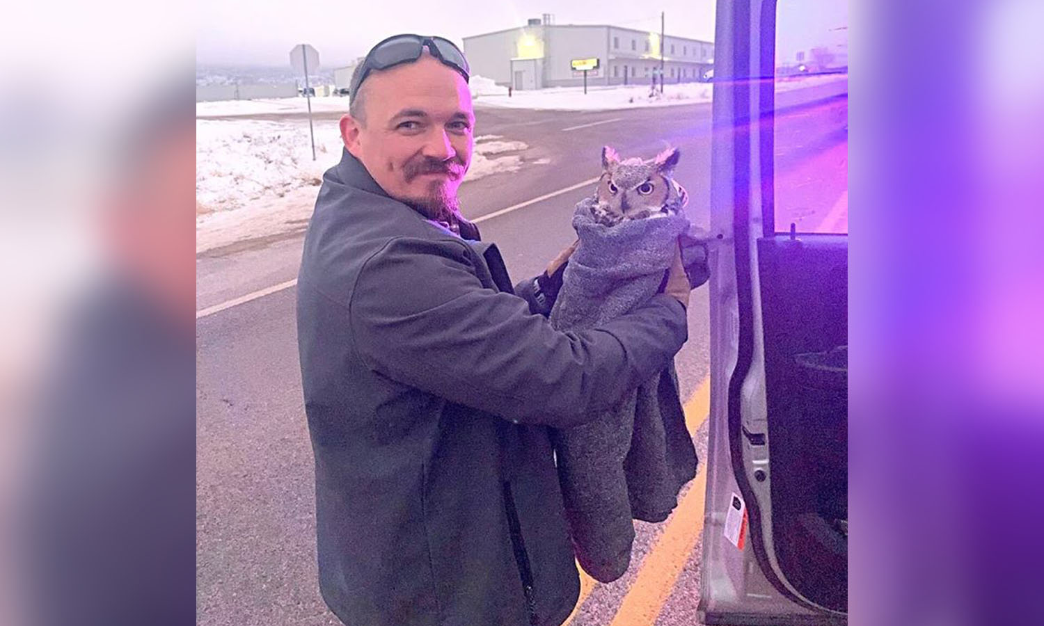 Injured owl found on US 191 near Moab, 'swaddled much like a baby' to safety
