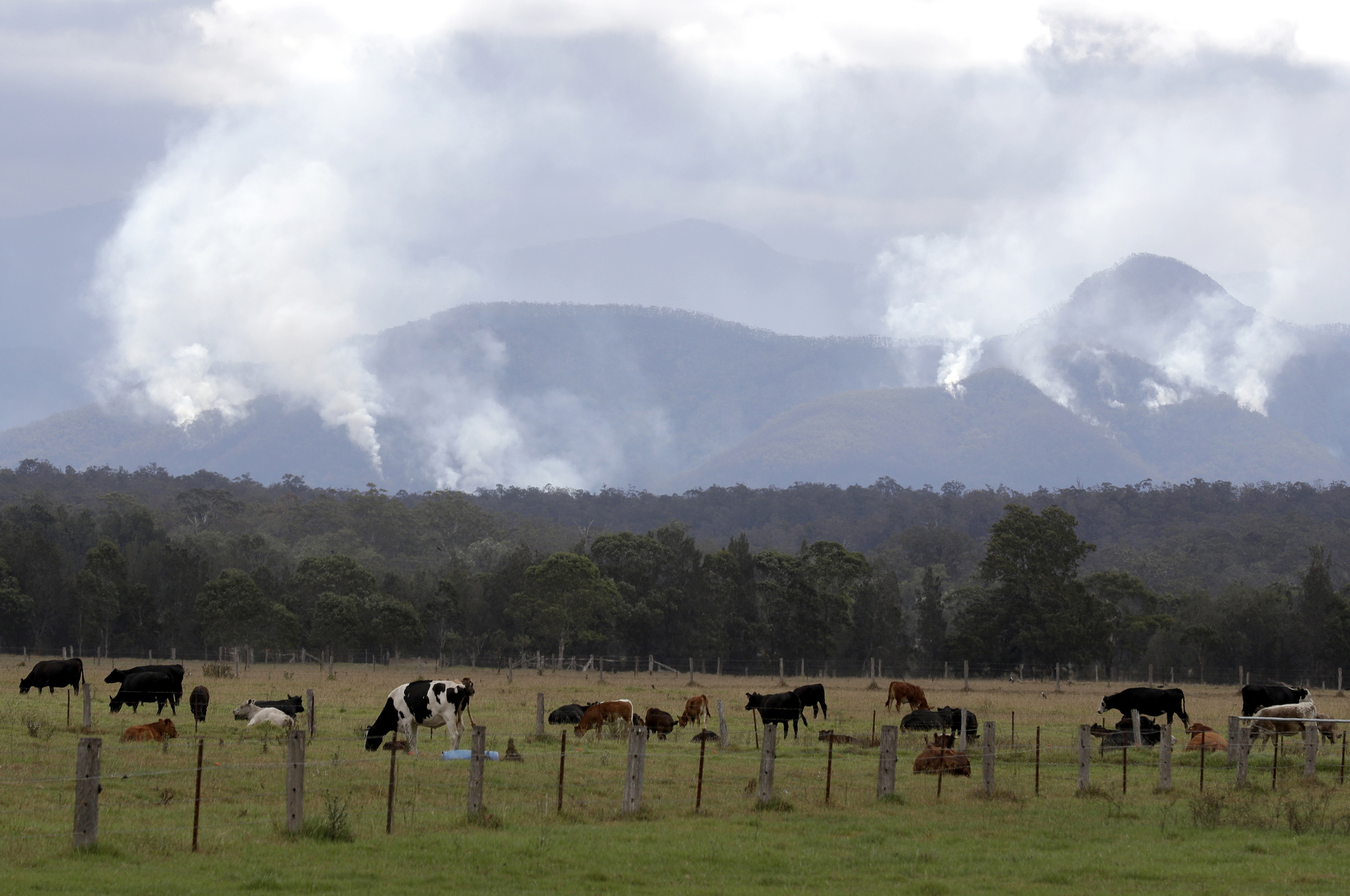 Australians leave homes as heat, winds escalate fire danger