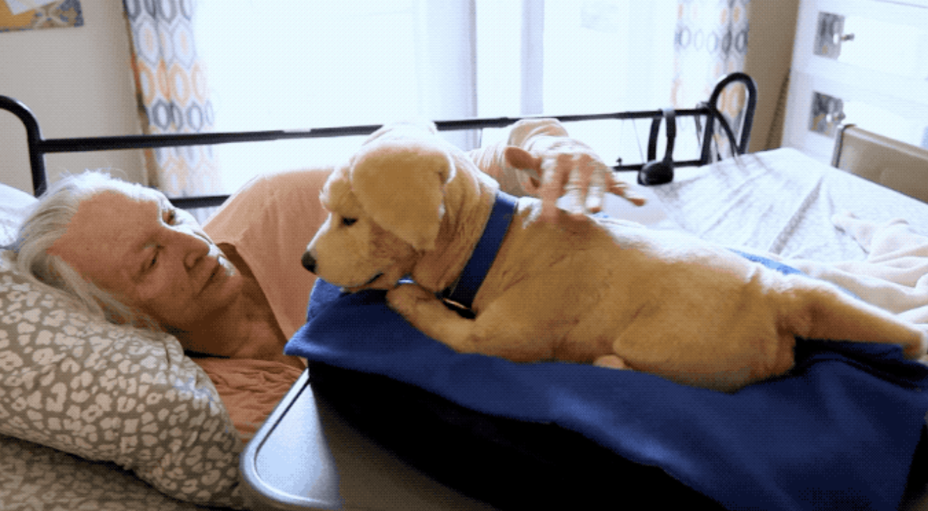 Jennie, a cuddly robot puppy created by robotics startup Tombot, is designed for Alzheimer and dementia patients, or others who could use some companionship but might not be in a position to care for a live animal. (Photo: Courtesy of Tombot)