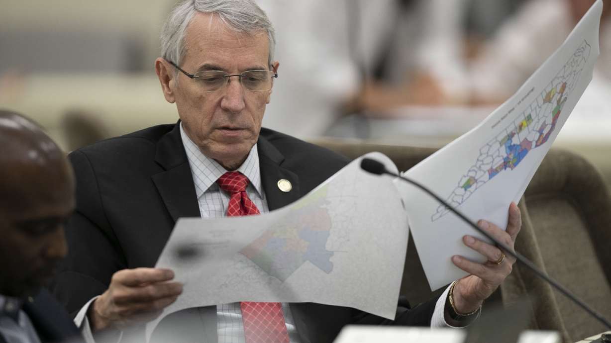 Redistricting power at stake in 2020 legislative elections