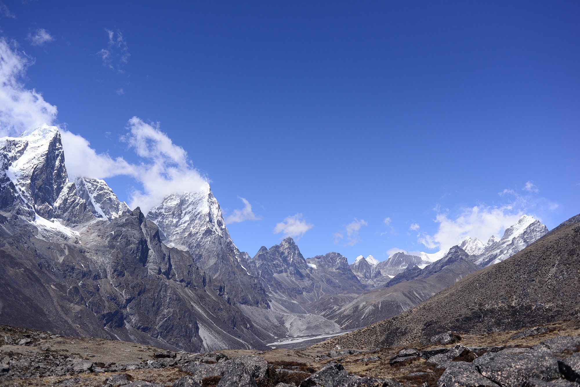 More plants are growing around Everest — and the consequences could be serious - KSL.com