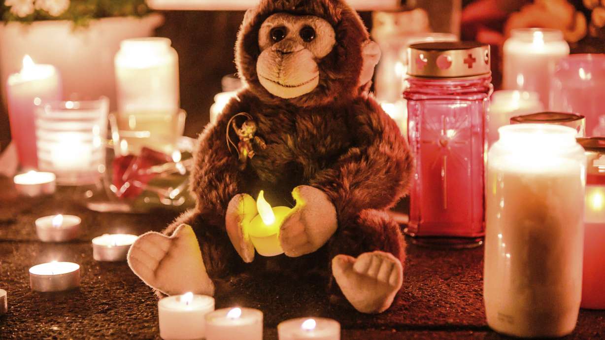 Germany: Gorilla injured in zoo fire shot dead by police