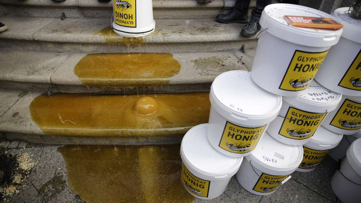 German beekeepers stage sticky protest on ministry steps