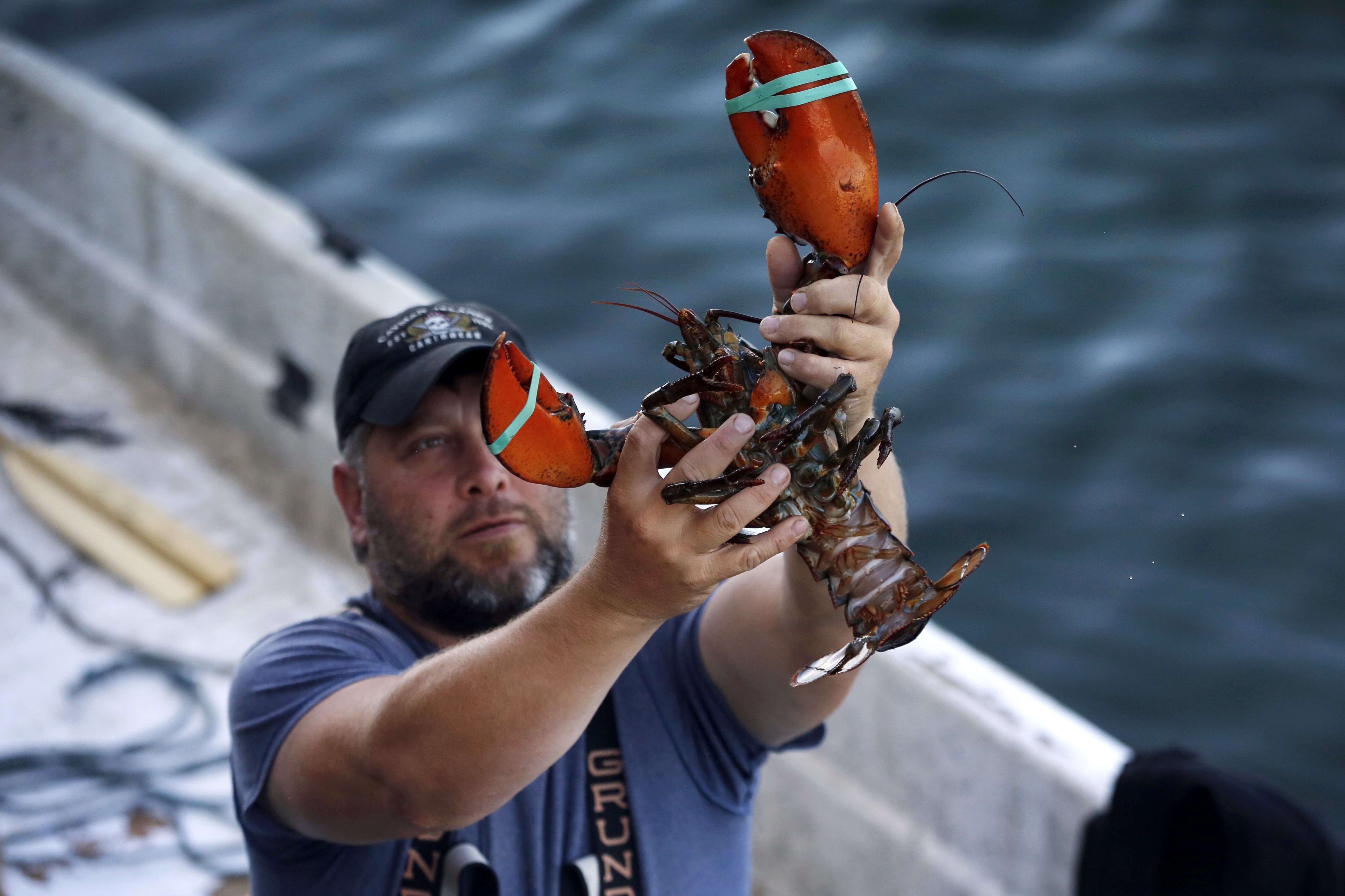 US lobster industry hopes new deal renews trade with China