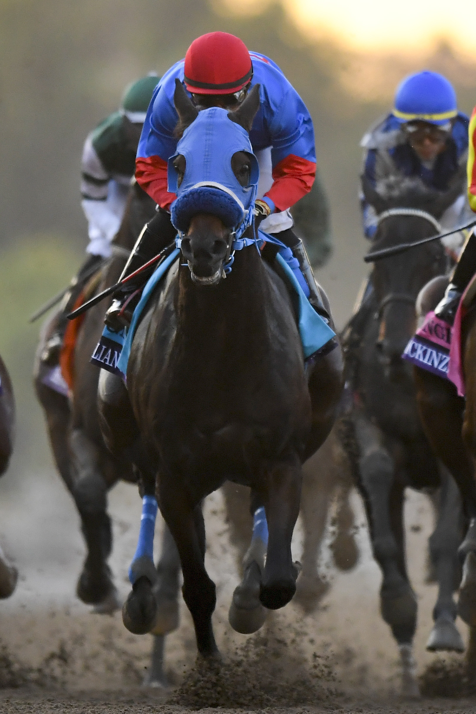 Report: Vets missed chances involving Breeders' Cup fatality