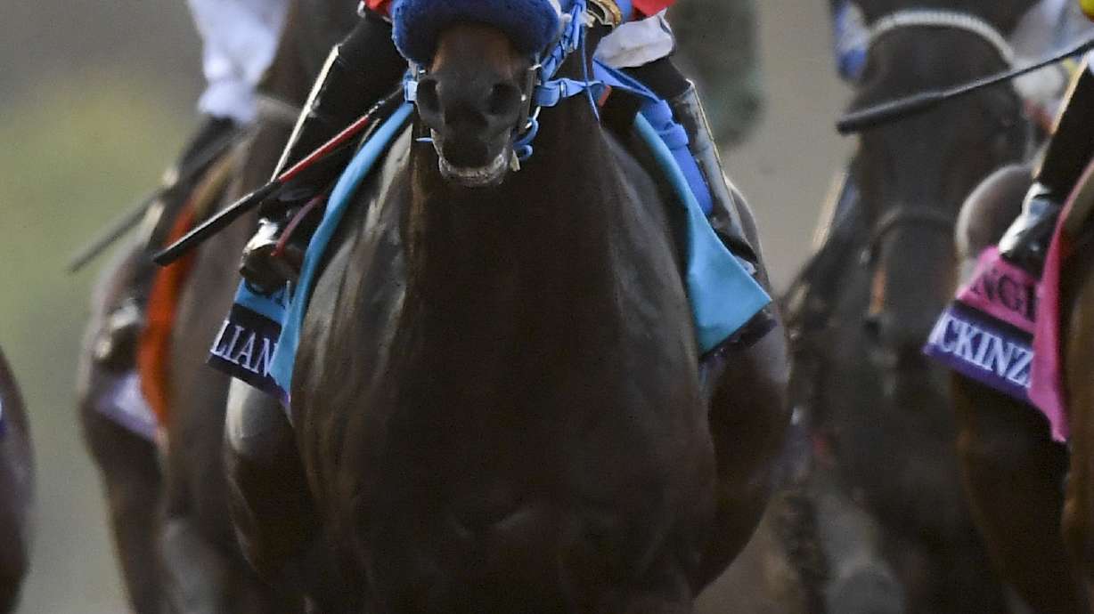 Report: Vets missed chances involving Breeders' Cup fatality
