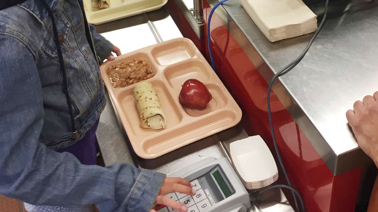 Rollback proposed for Michelle Obama school lunch guidelines