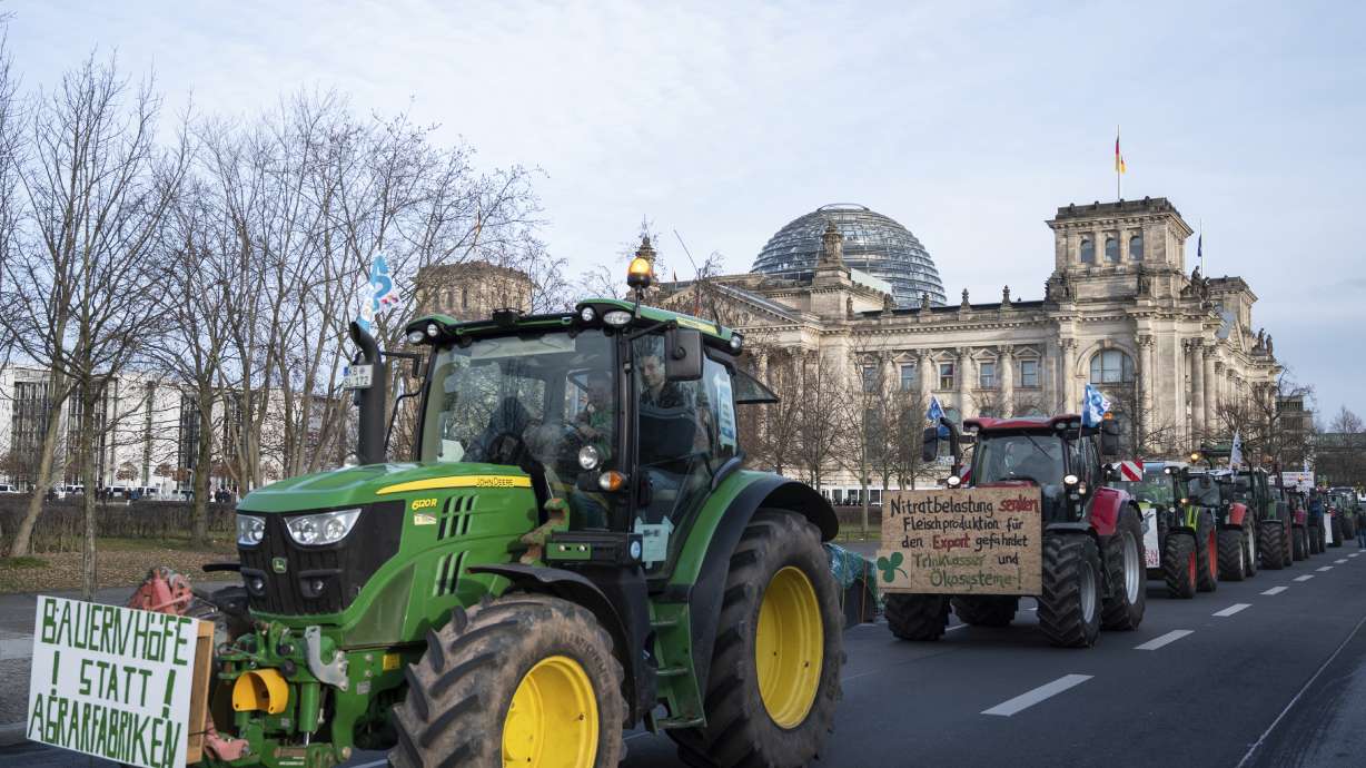 Protesters in Berlin support environment-friendly farming