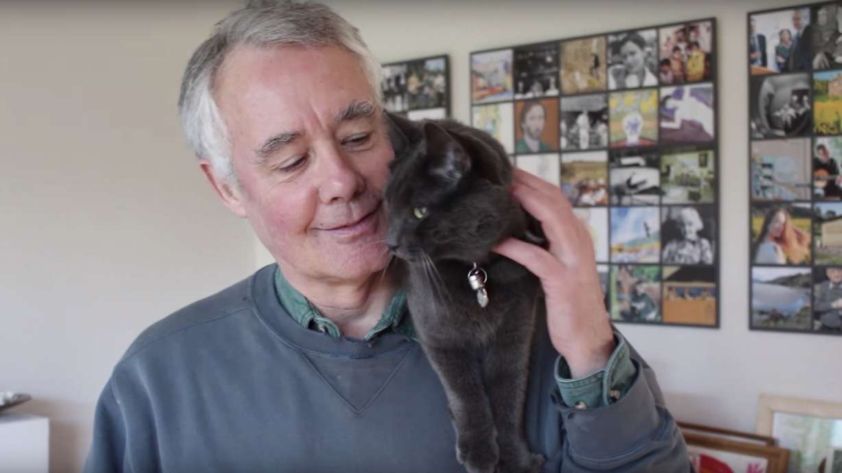 Have You Seen This? How to put on a sweater without disturbing your cat