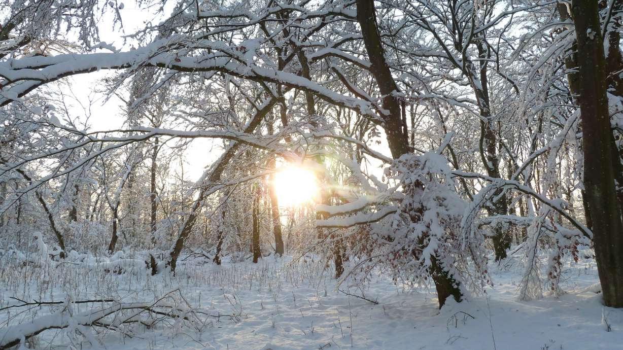 Utah County man flown to hospital after snowmobile accident in Logan Canyon