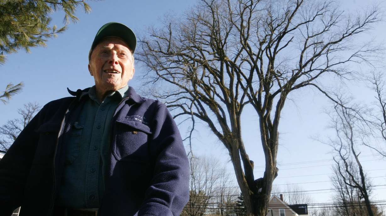 Clones help famous elm tree named Herbie live on, for now