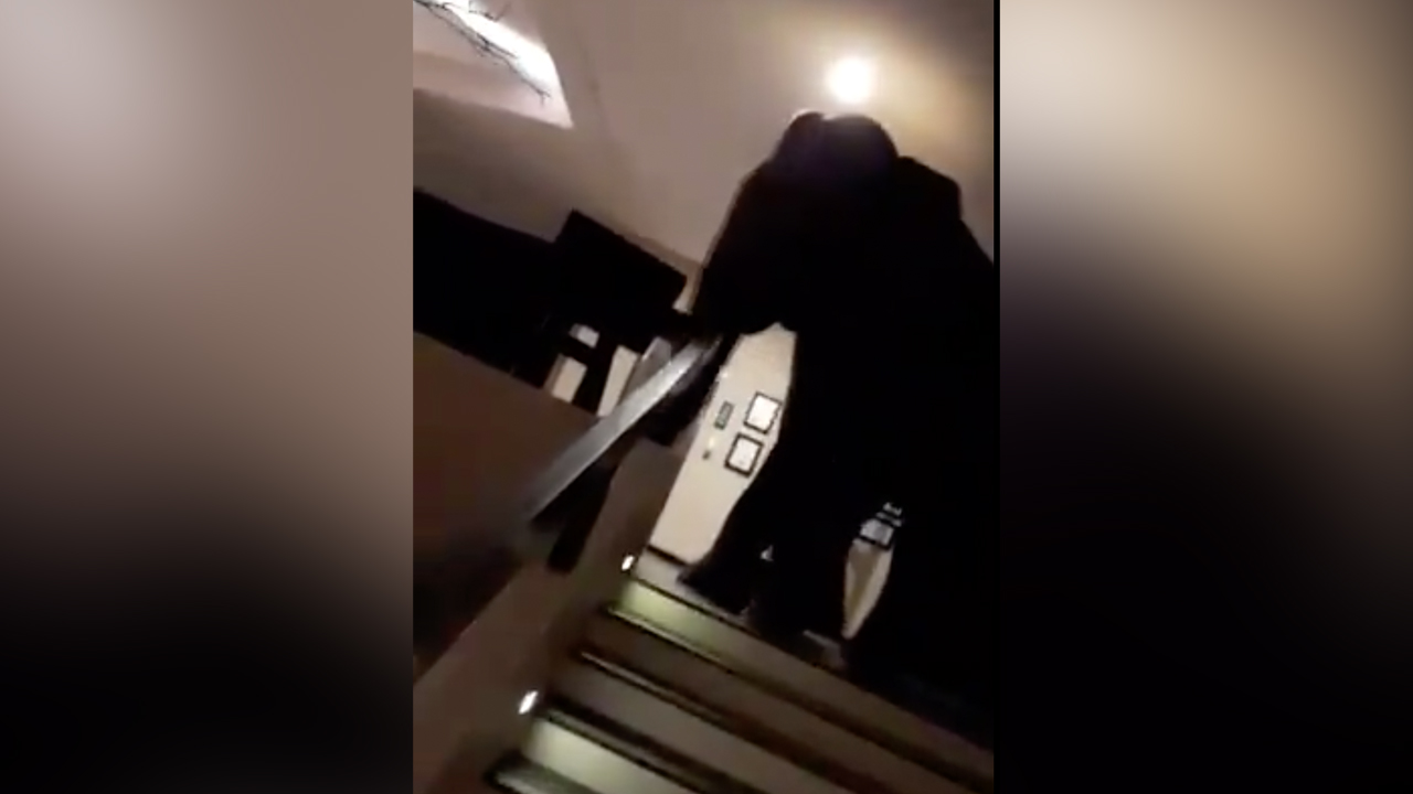 Have You Seen This? Elephant packs its trunk for early morning wake-up call