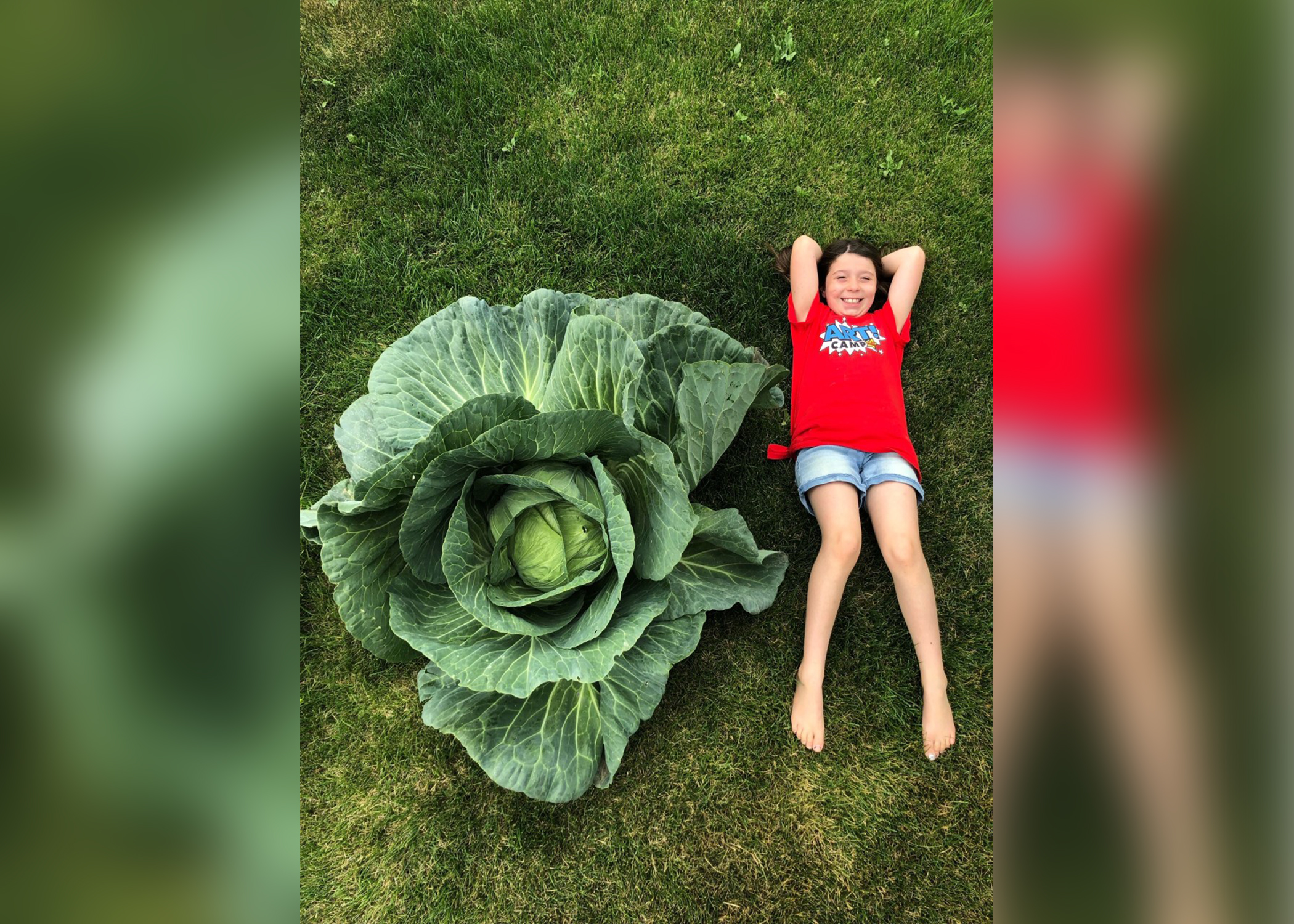 10-year-old Utahn wins $1K scholarship for growing 15-pound cabbage