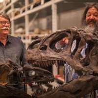 155 million-year-old dinosaur found in Utah leads scientists to discover new Allosaurus species