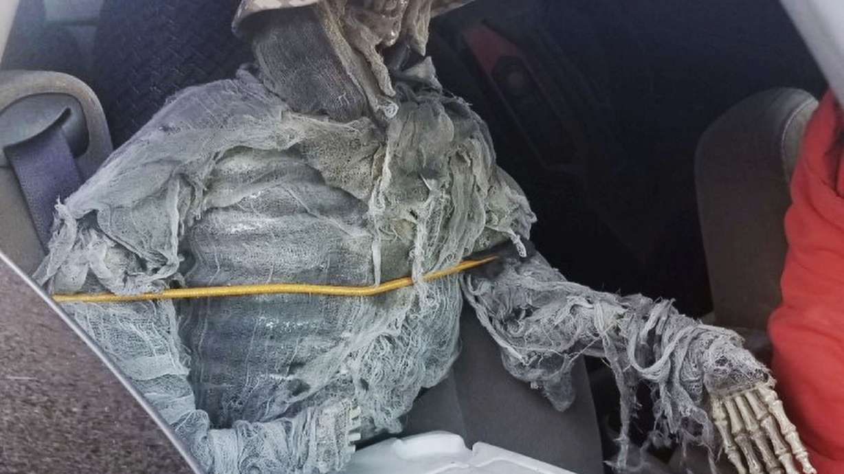 Man cited for using fake skeleton to drive in HOV lane