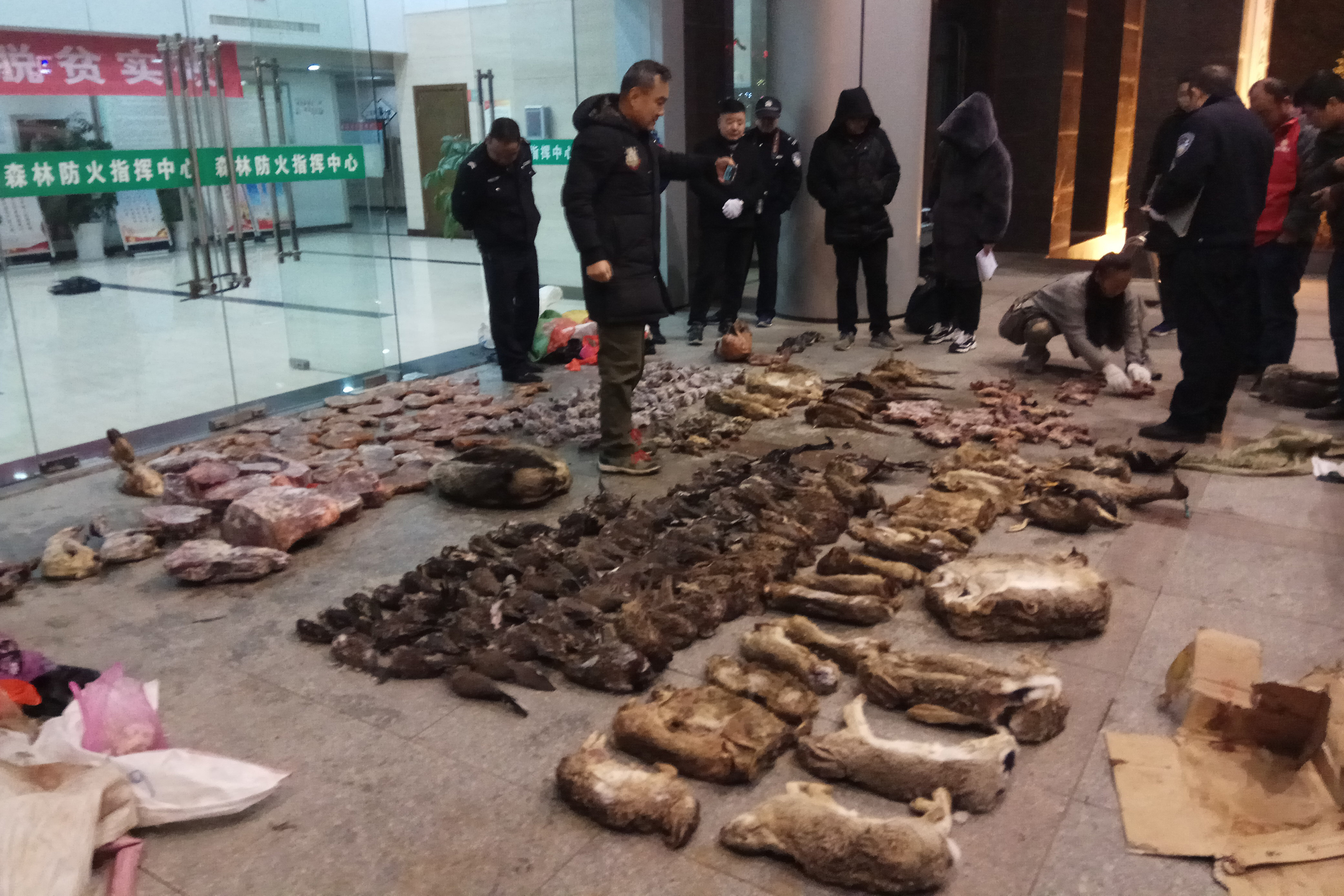 China temporarily bans wildlife trade in wake of outbreak
