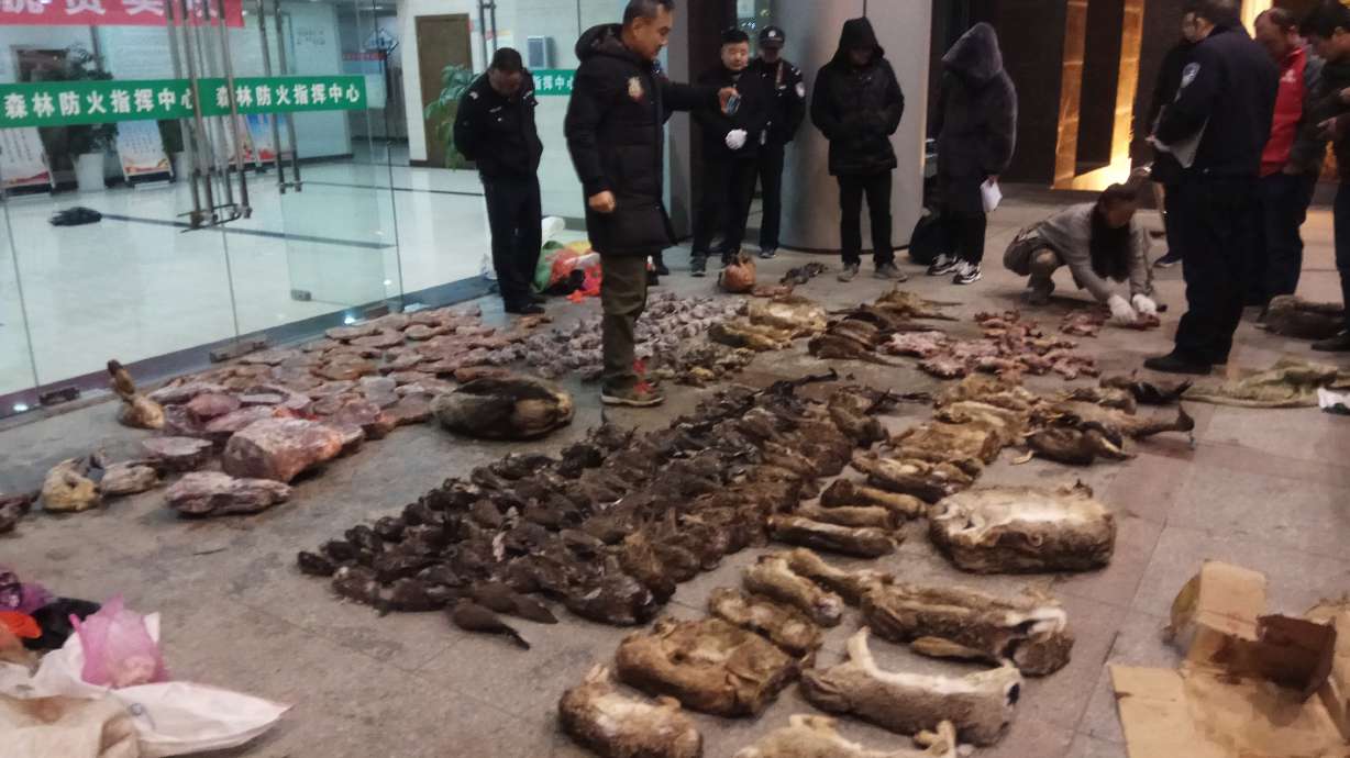 China temporarily bans wildlife trade in wake of outbreak