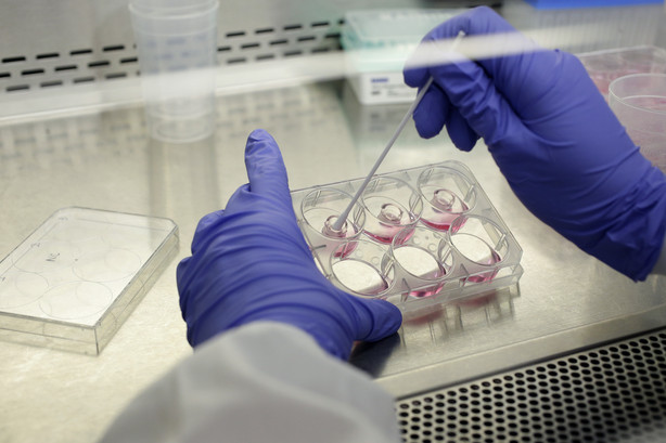 In this Wednesday, Jan. 15, 2020, photo scientist and study director Jennifer Molignano uses a swab to dry living human skin tissues after washing them with saline solution to remove a commercially available skin care product, during a demonstration of an experiment created to test the effects of skin care products on human skin tissue, in a lab at MatTek Corporation, in Ashland, Mass. (Steven Senne, AP Photo)