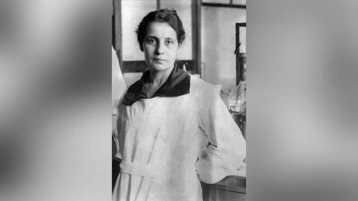 Austrian physicist Lise Meitner contributed significant advancements to the field of nuclear physics. She was also the first woman to become a physics professor in Germany. Photo: Ullstein Bild/Getty Images
