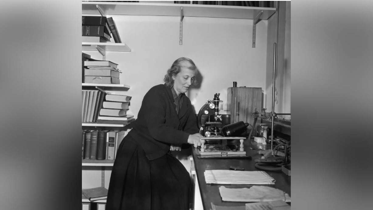 British chemist Dorothy Hodgkin (1910 - 1994) at work, 4th December 1964. Hodgkin was awarded the 1964 Nobel Prize in Chemistry 'for her determinations by X-ray techniques of the structures of important biochemical substances'. Photo: Harold Clements/Daily Express/Hulton Archive/Getty Images