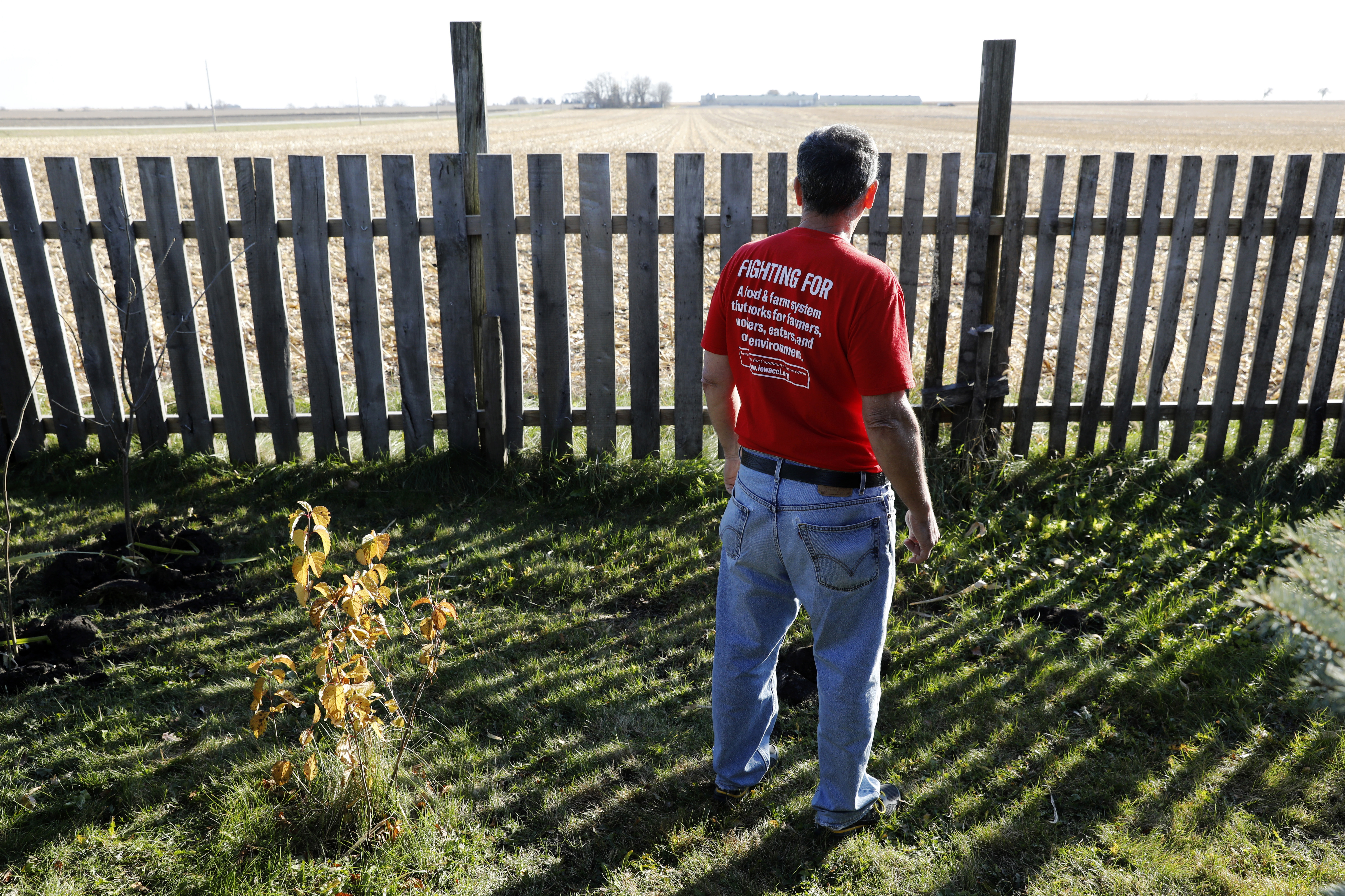 Factory farms provide abundant food, but environment suffers