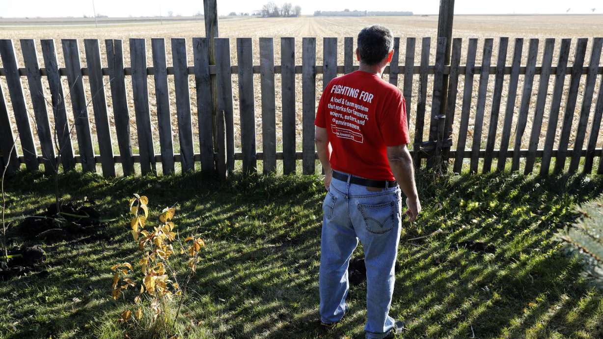 Factory farms provide abundant food, but environment suffers