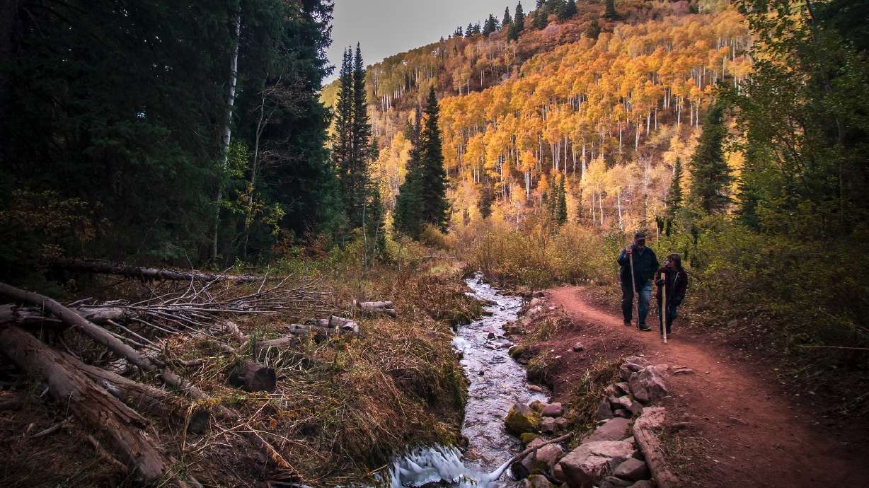 Hikers walk along a trail in Millcreek Canyon on Oct. 13, 2019. A new federal report found Utah was the second-most active state in the United States, based on data collected between 2017 and 2020.