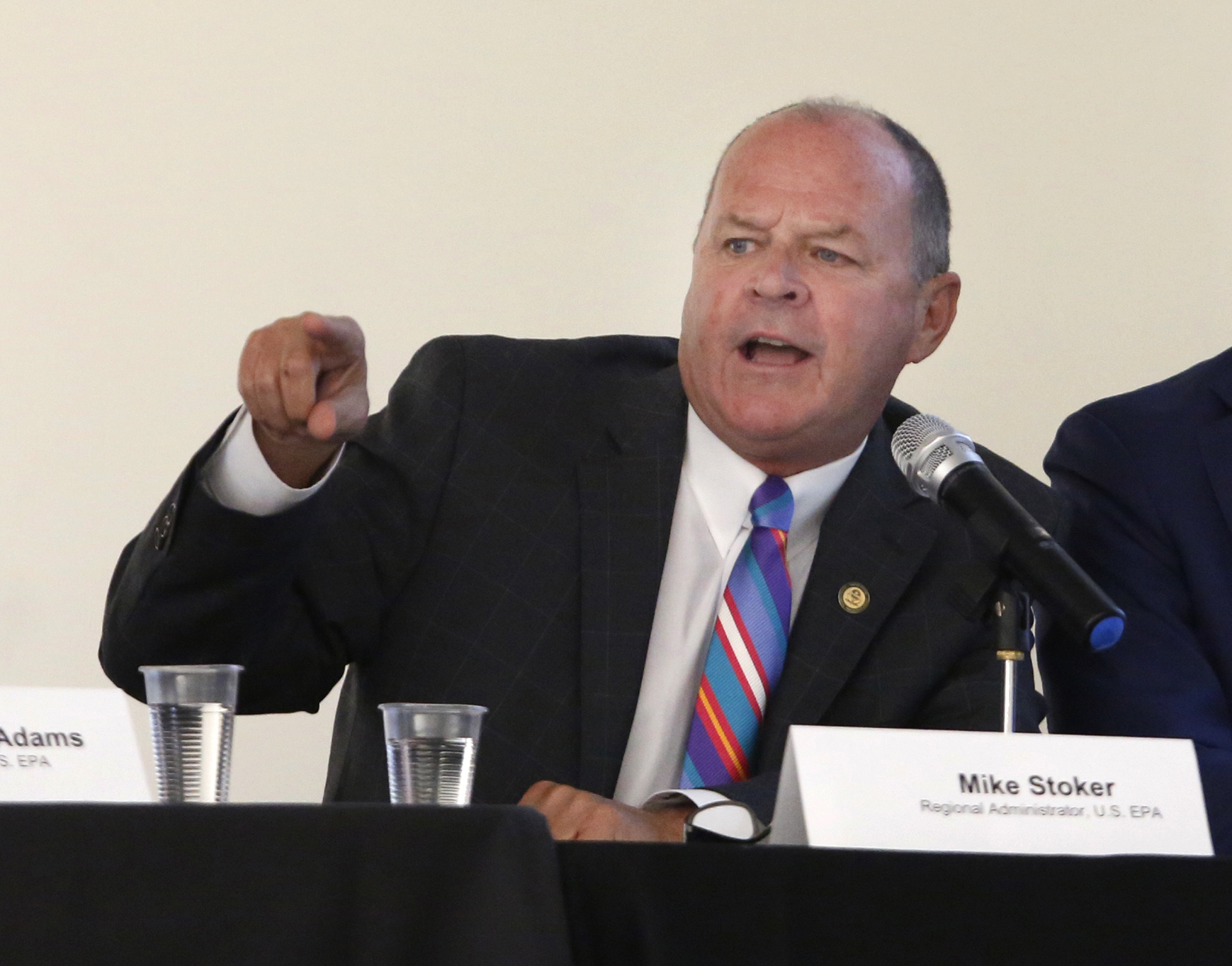 Accusations follow EPA's ouster of California regional boss