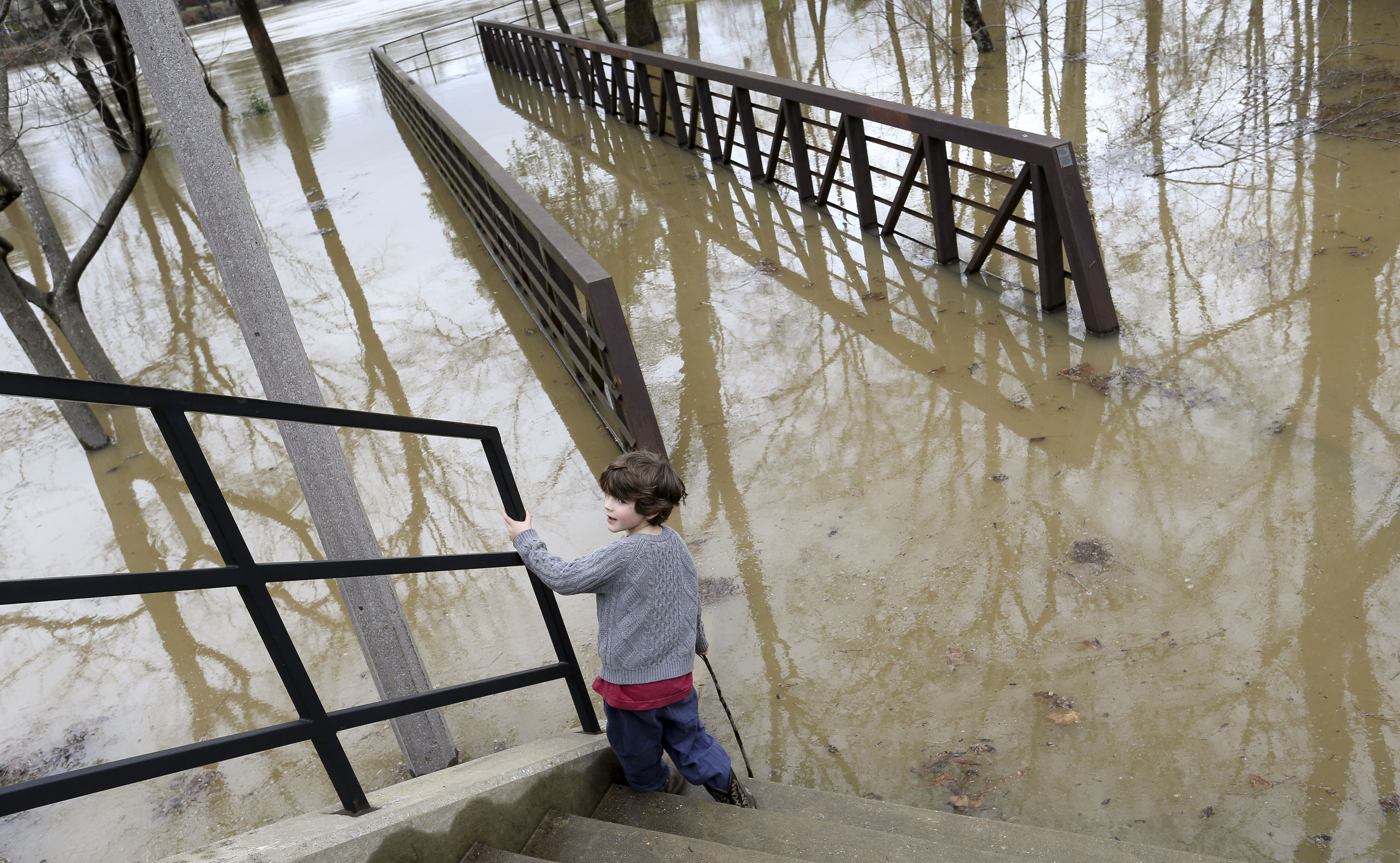 Torrential rains leave swollen rivers, downed trees in South