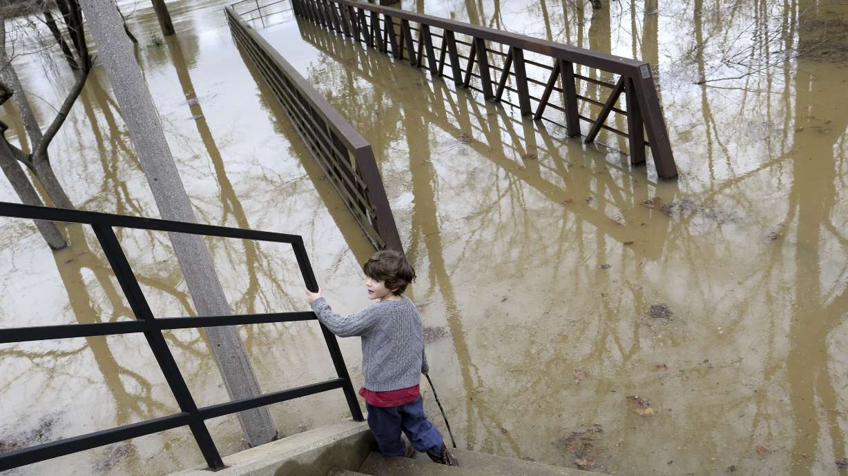 Torrential rains leave swollen rivers, downed trees in South