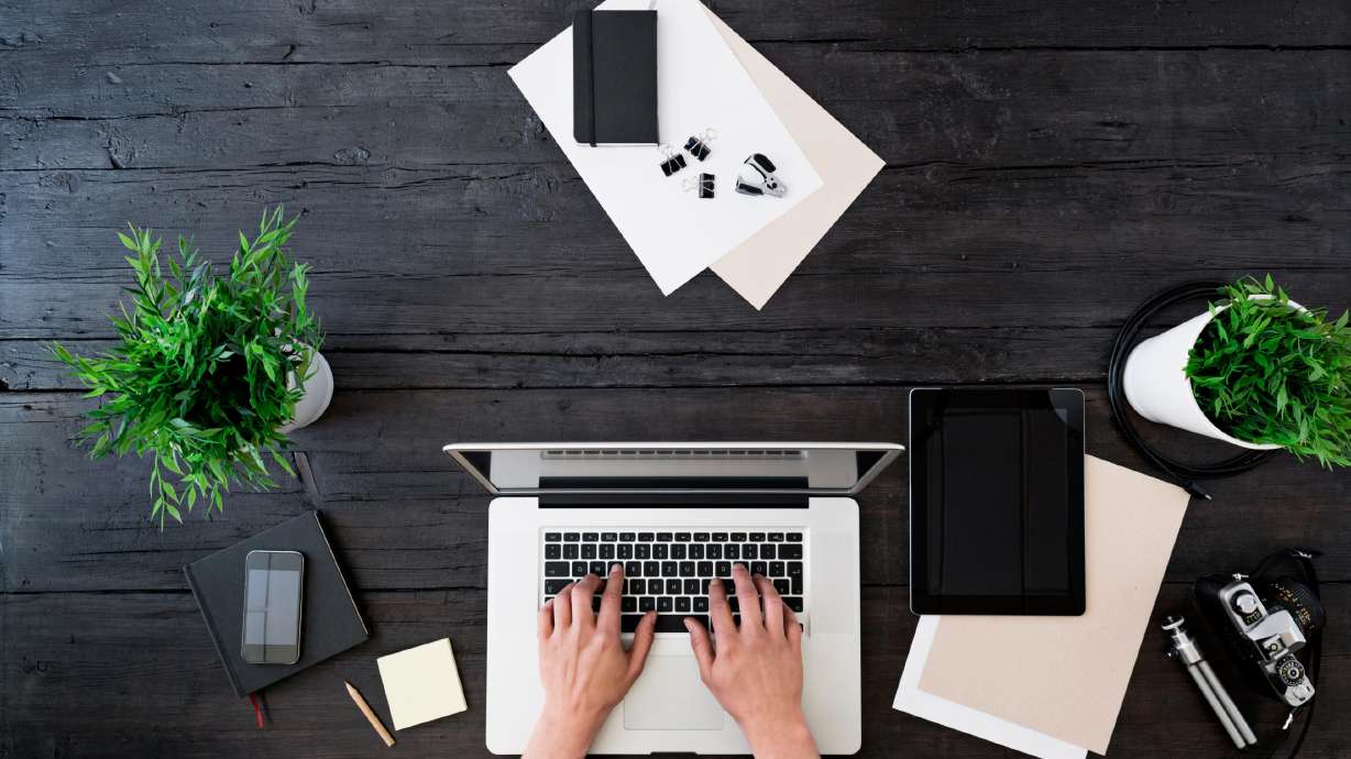 Keeping a plant on your desk can reduce workplace stress, study says