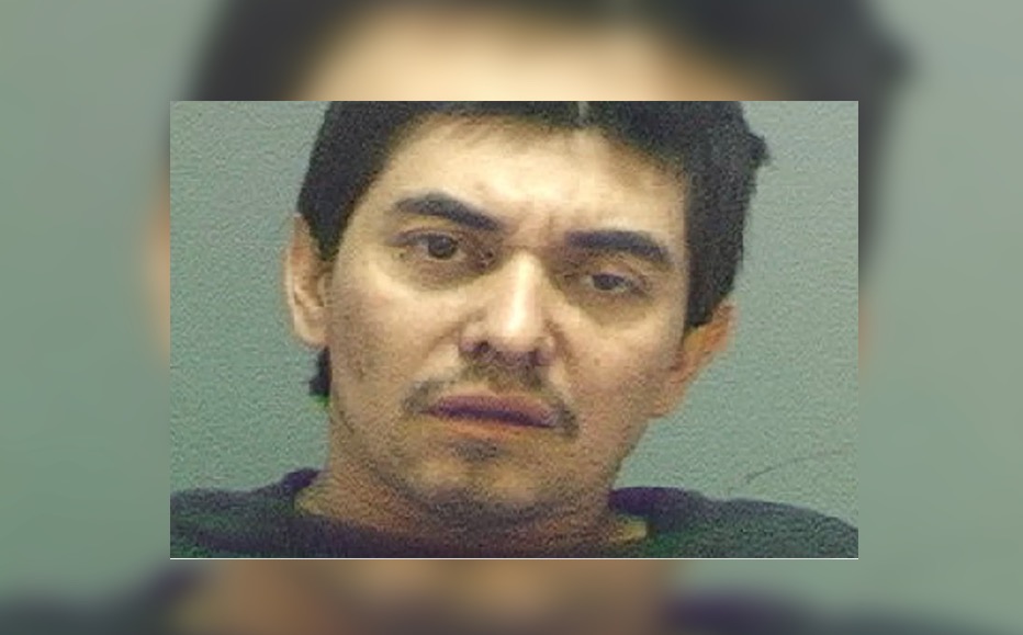 Police dog takes down wanted man who ran across I-15