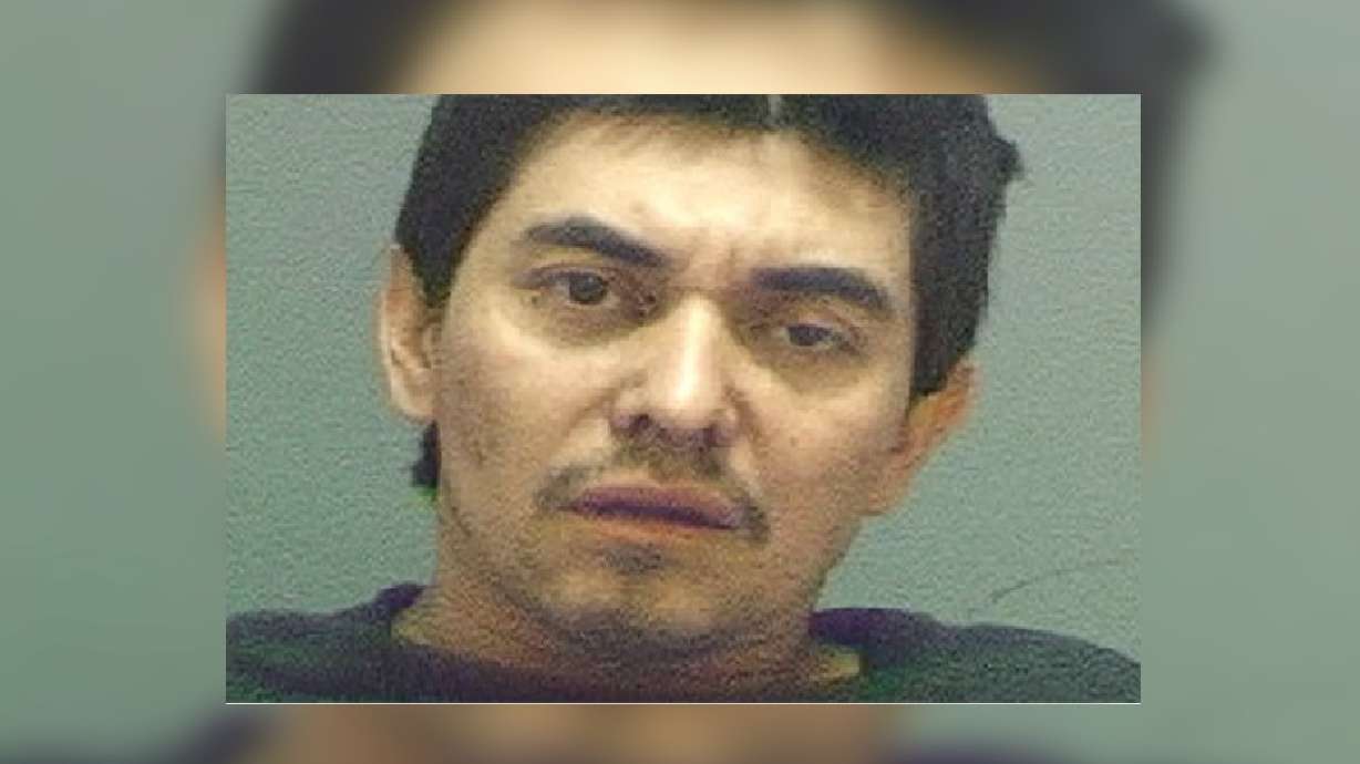 Police dog takes down wanted man who ran across I-15