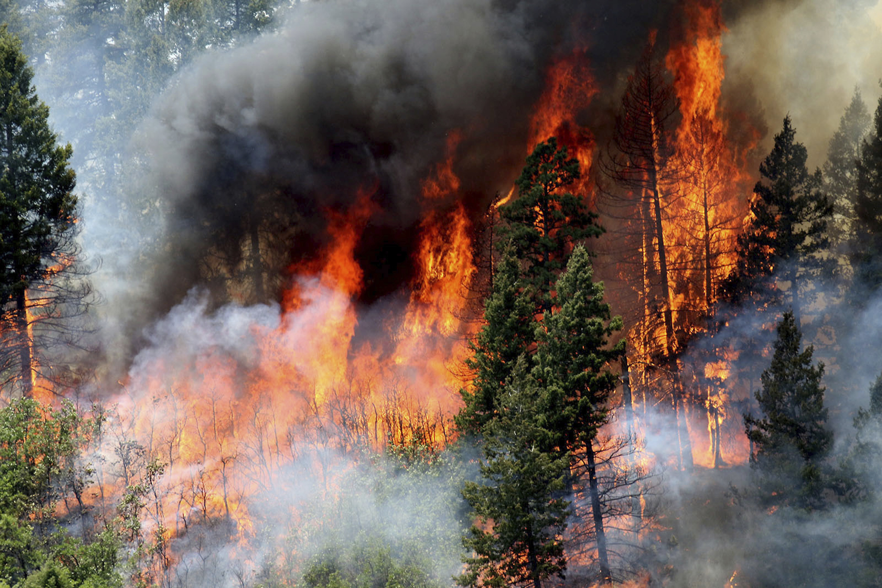 Report: Work to reduce wildfire risks has economic benefits