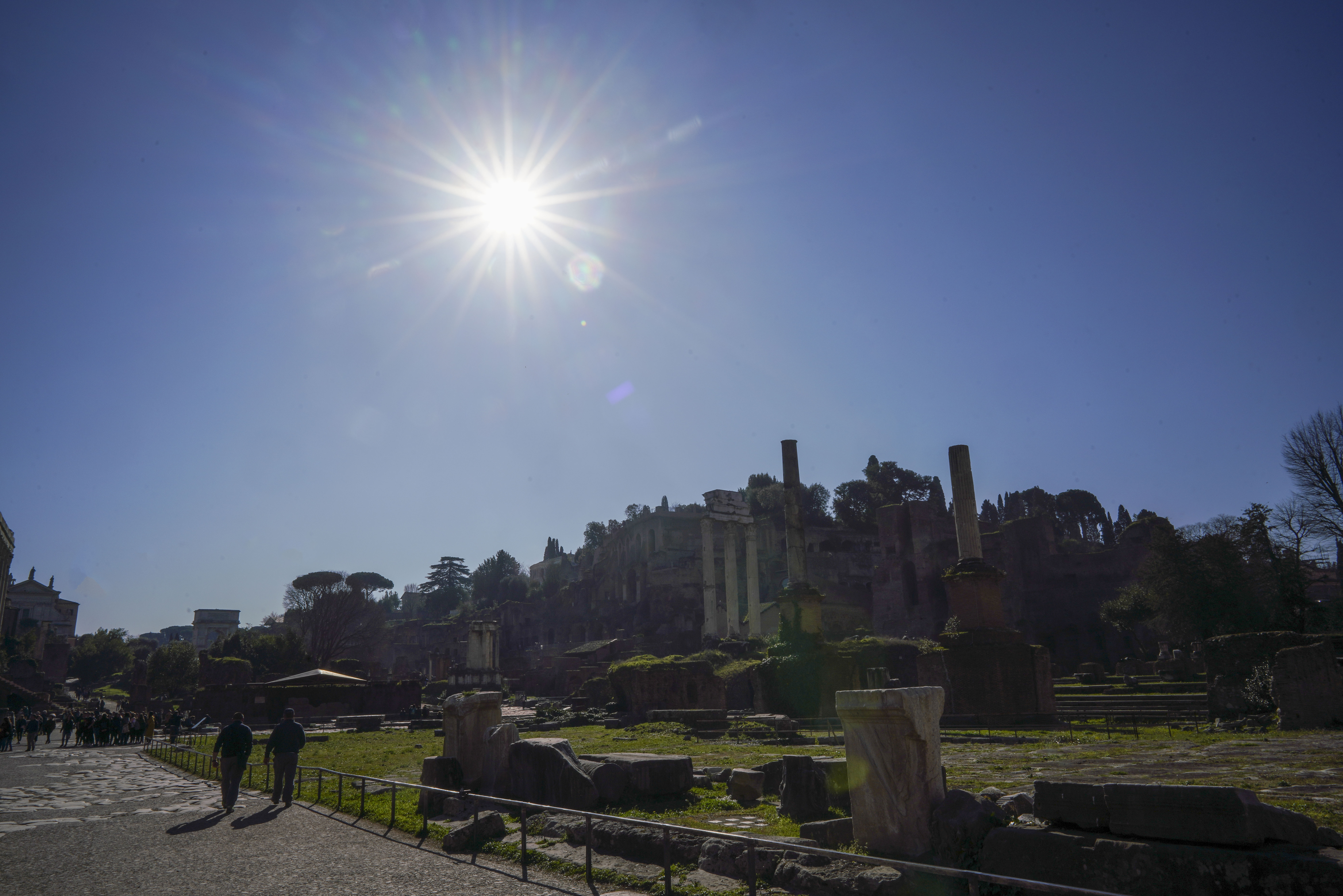 Roman Forum find could be shrine to Rome's founder, Romulus