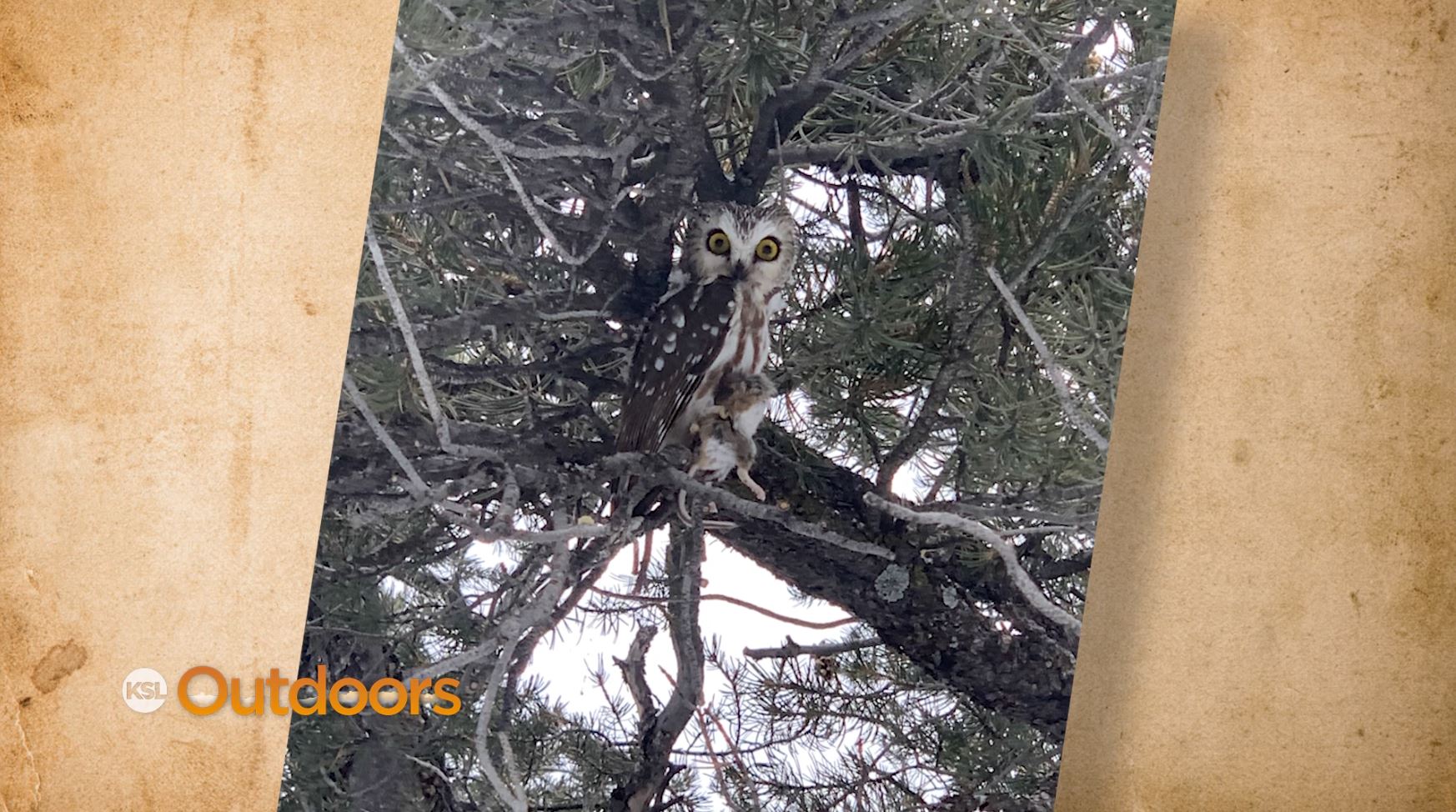 Snapshot of the Week: February 22, 2020