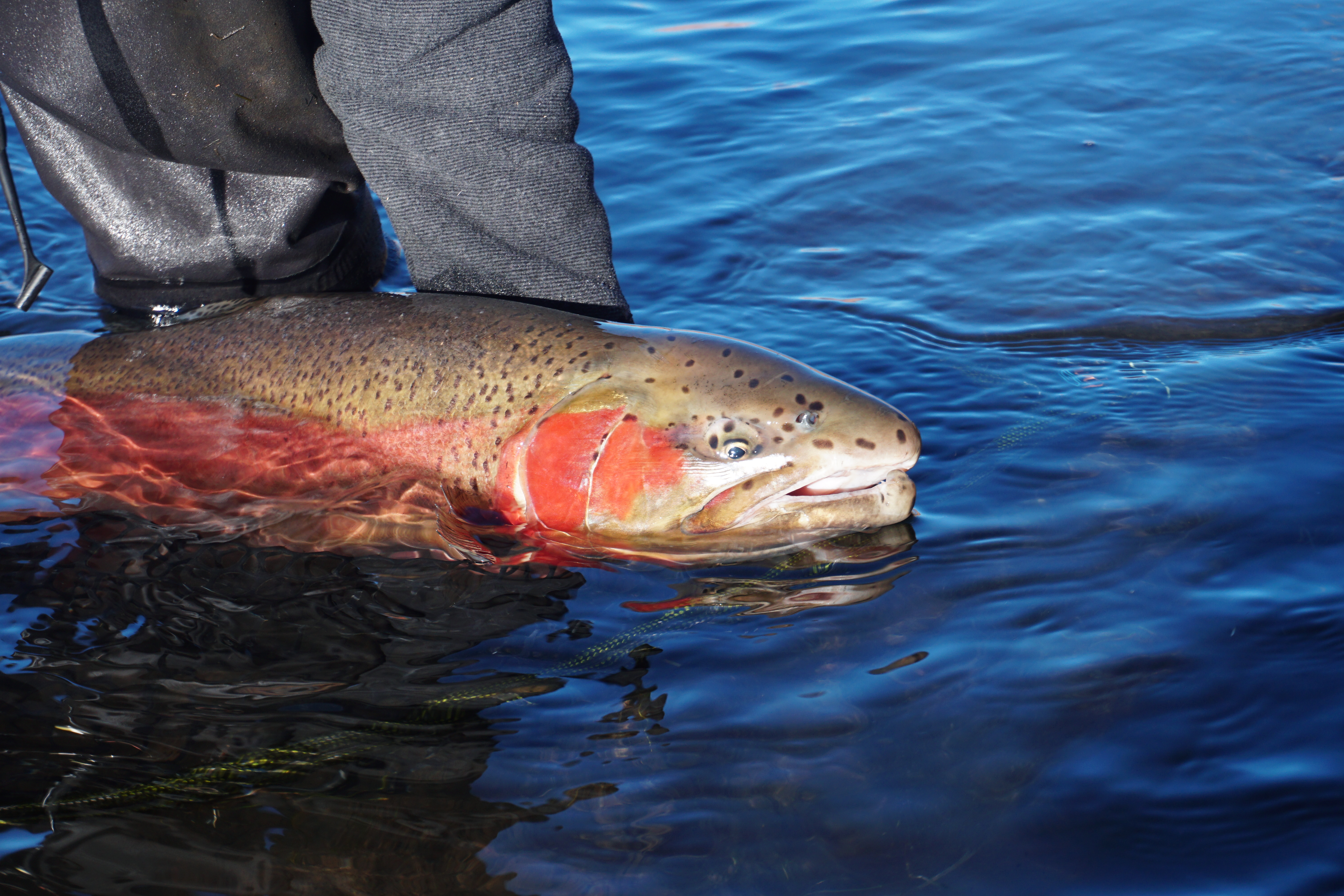 3 reasons winter is great for learning fly fishing