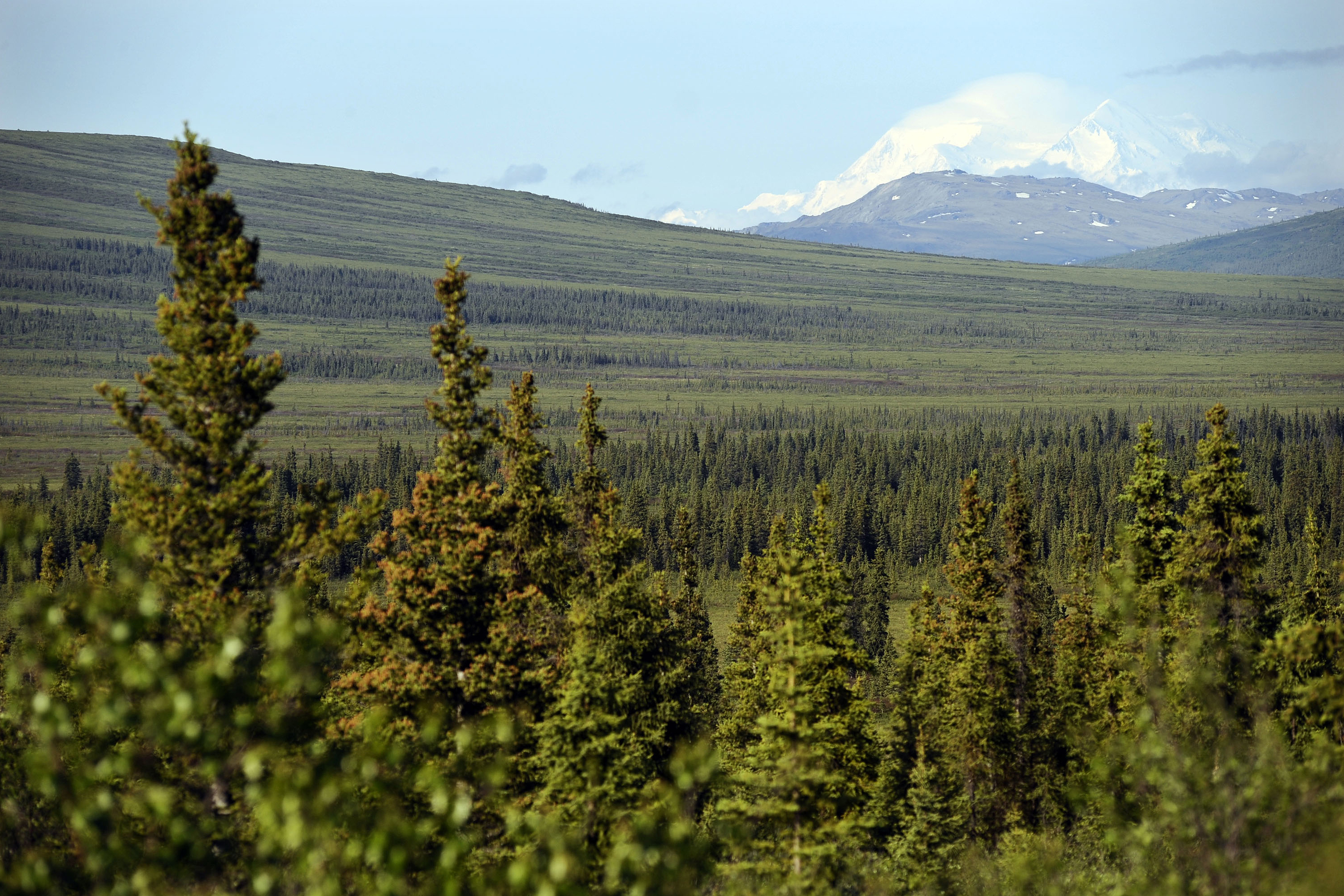 Denali National Park and preserve in Healy, Alaska. Chances have dwindled for finding two climbers alive more than a week after they went missing in Alaska's Denali National Park and Preserve.