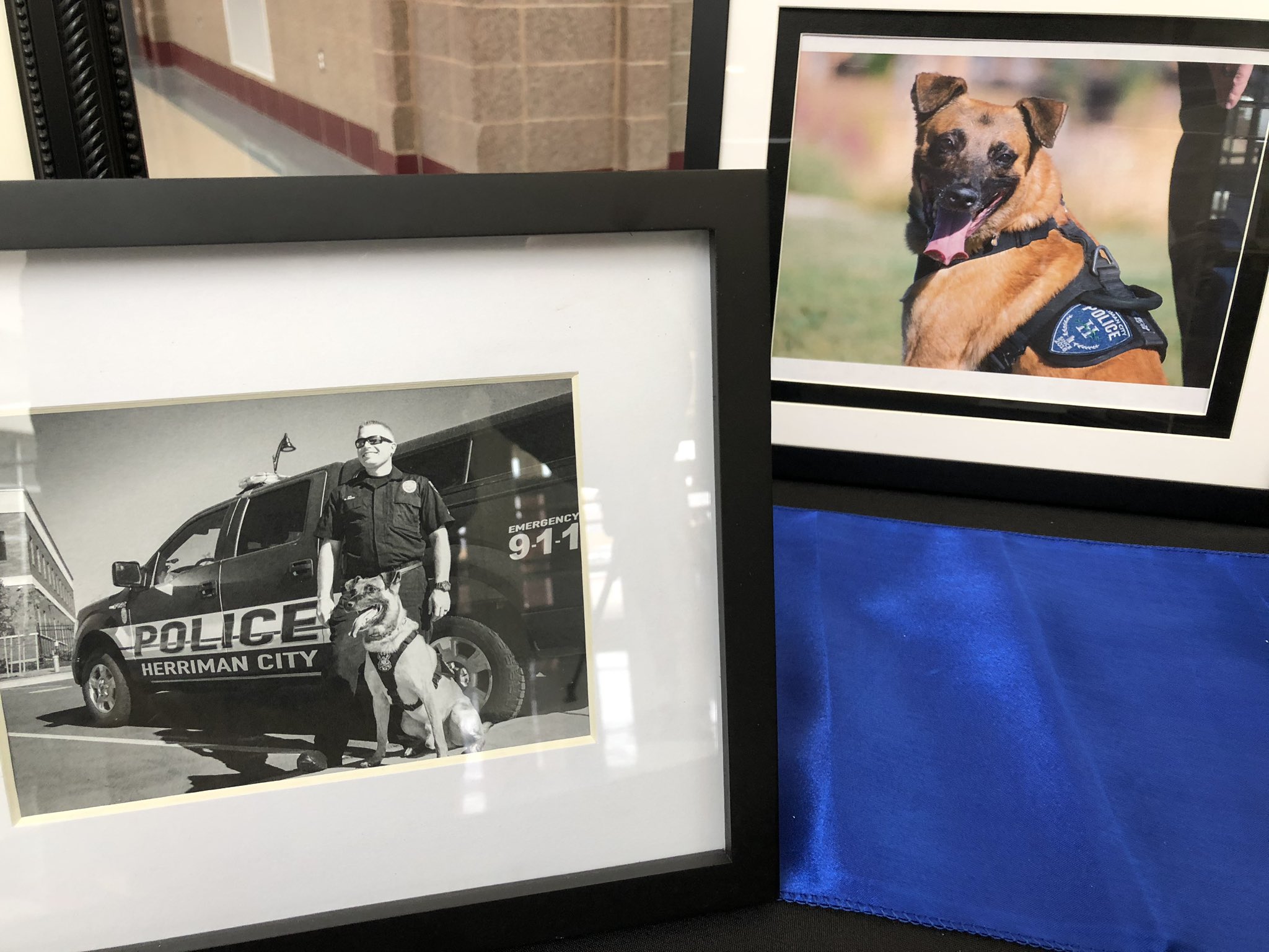 A funeral service was held for Herriman City Police Department’s K-9 officer Hondo, who was killed in the line of duty on Feb. 13. (KSL TV)