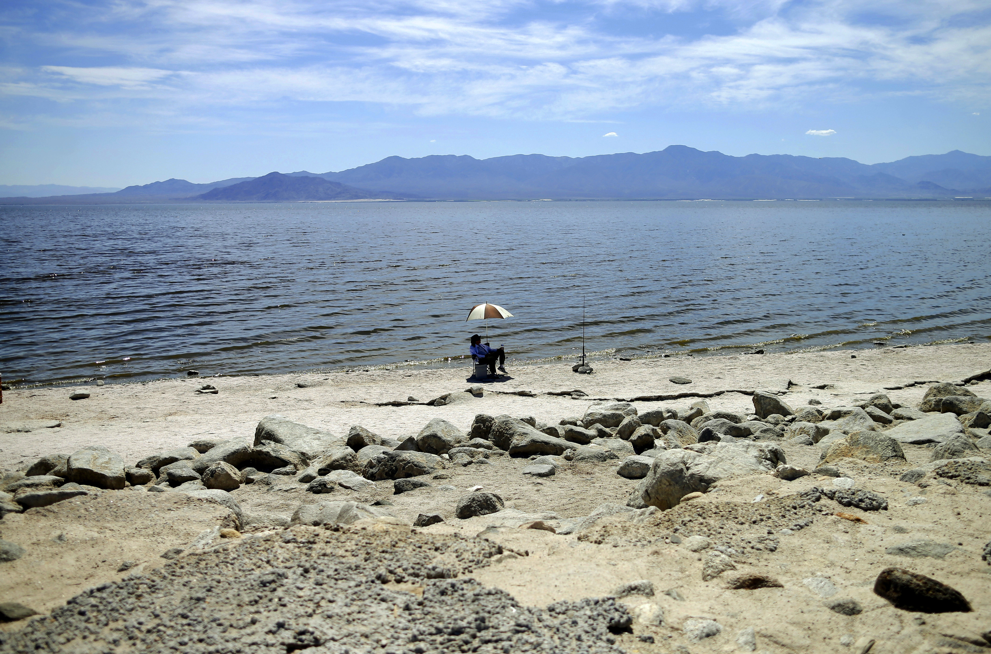 Half of world's sandy beaches at risk from climate change