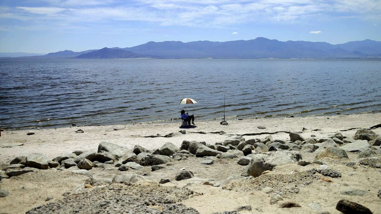 Half of world's sandy beaches at risk from climate change