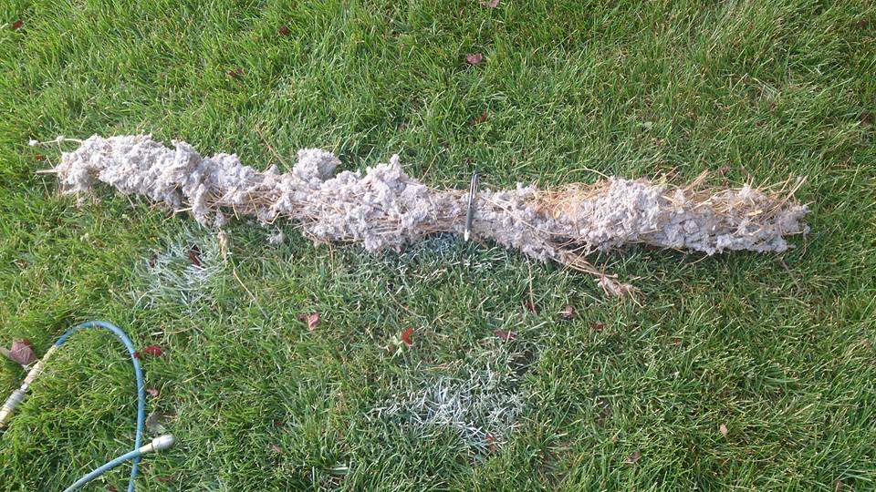 Some of the debris pulled out of a dryer vent Monday, March 2, 2020. Photo: KSL TV