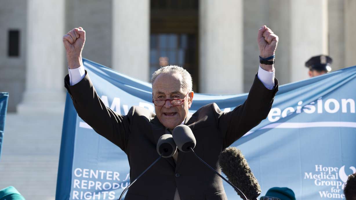 Schumer: I 'should not have used' critical words on justices