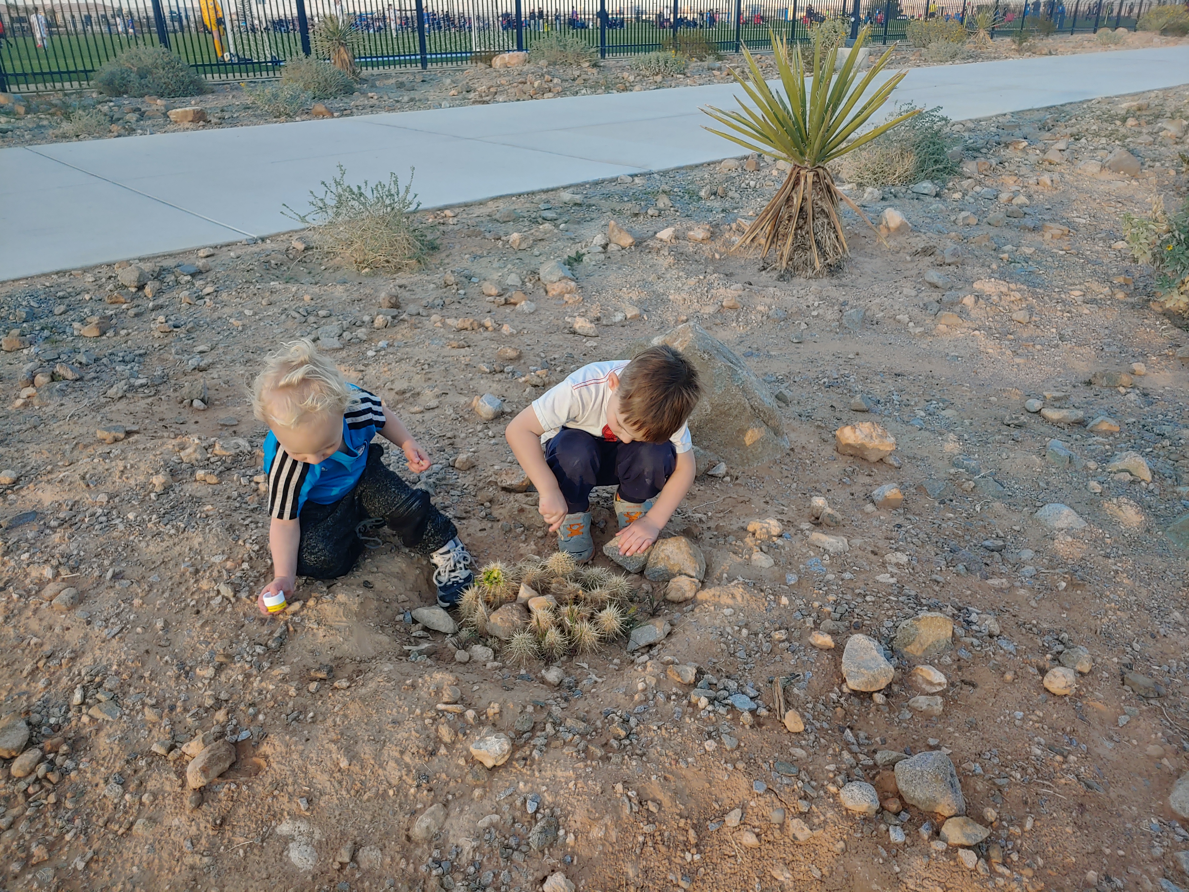 Arianne Brown: 'Boys will be boys' is a descriptor for many things — not just rough and tumble