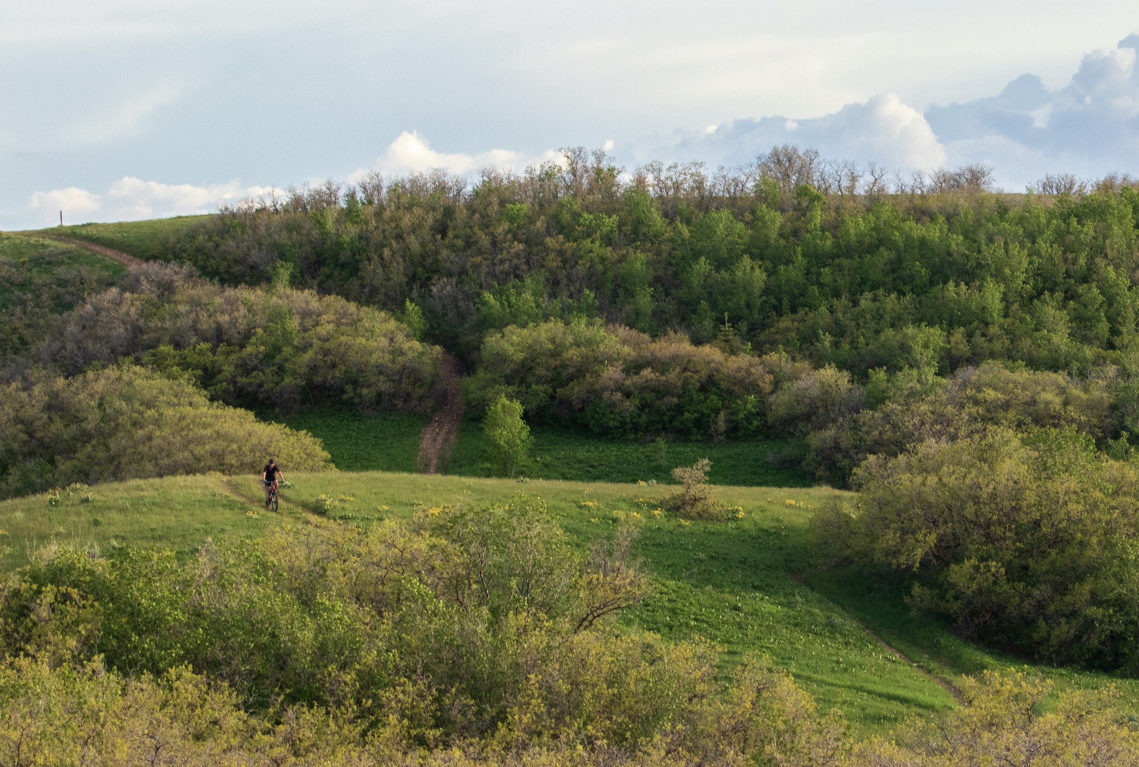 Salt Lake City aims to create 'world-class' trail system in city's northern foothills