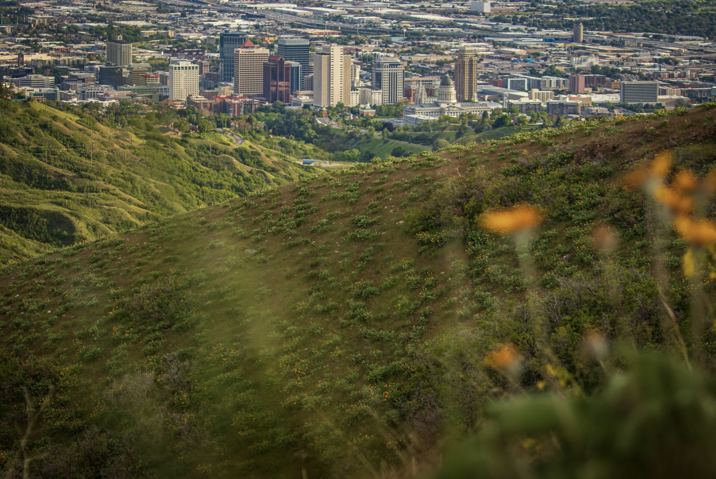 A view of Salt Lake City from City Creek Canyon on Monday, May 27, 2019. The southern part of the canyon is within the Foothills Trail Master Plan, which the Salt Lake City Council adopted on Tuesday, March 3, 2020. (Photo: Carter Williams, KSL.com)