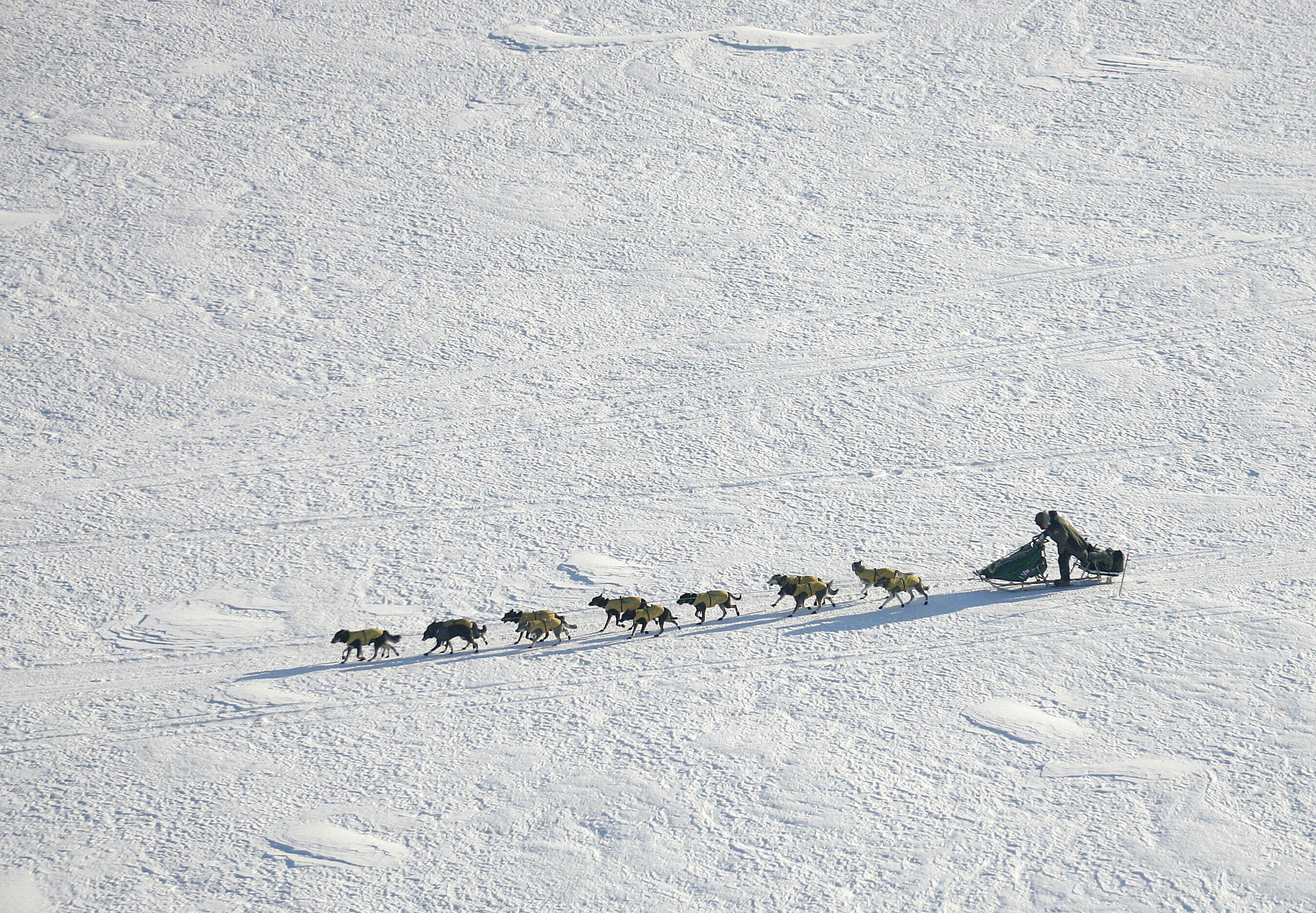 Iditarod looks for relevance as race across Alaska starts