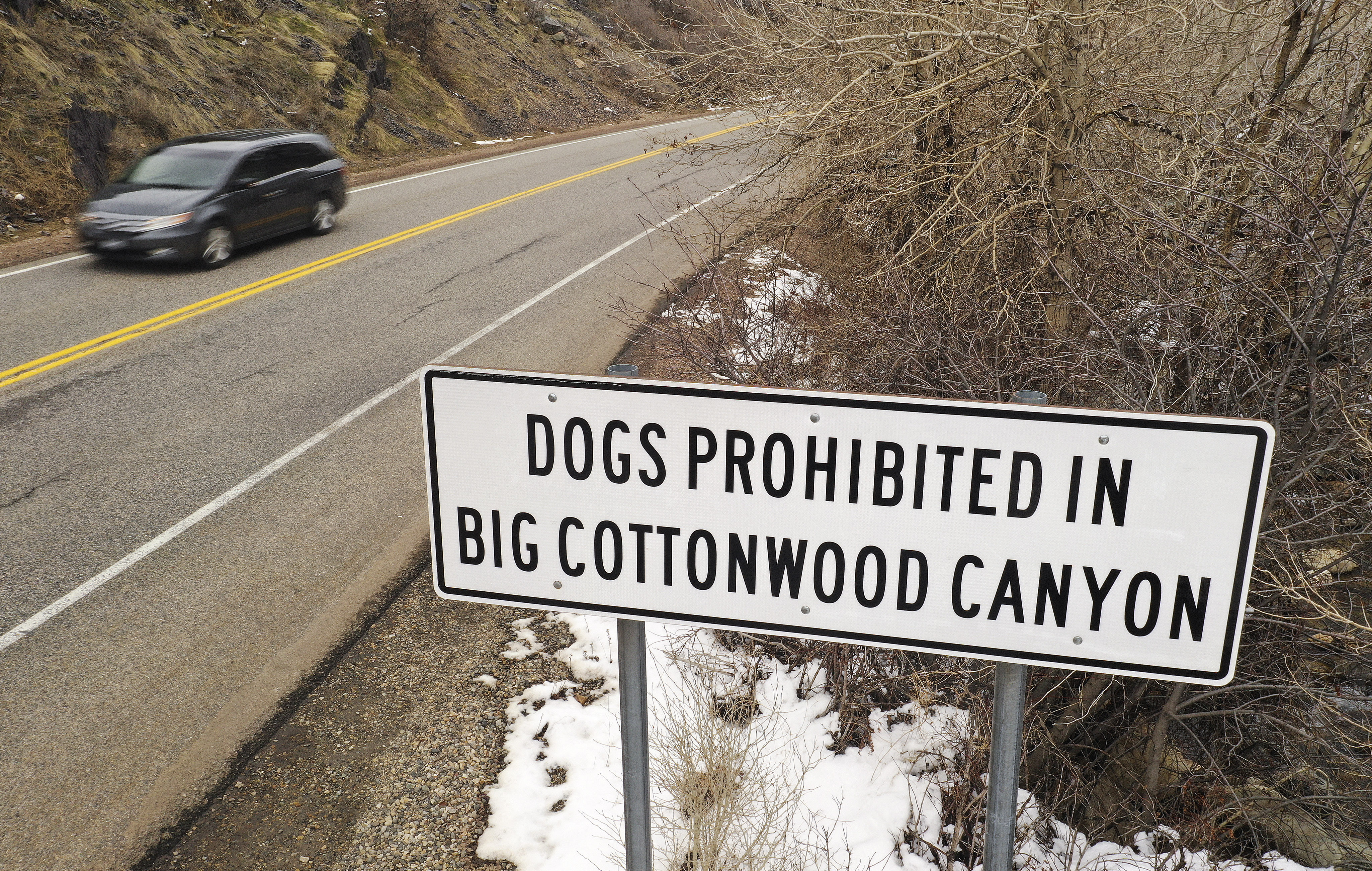 Canyon restrictions have some Utah lawmakers growling over dog ban