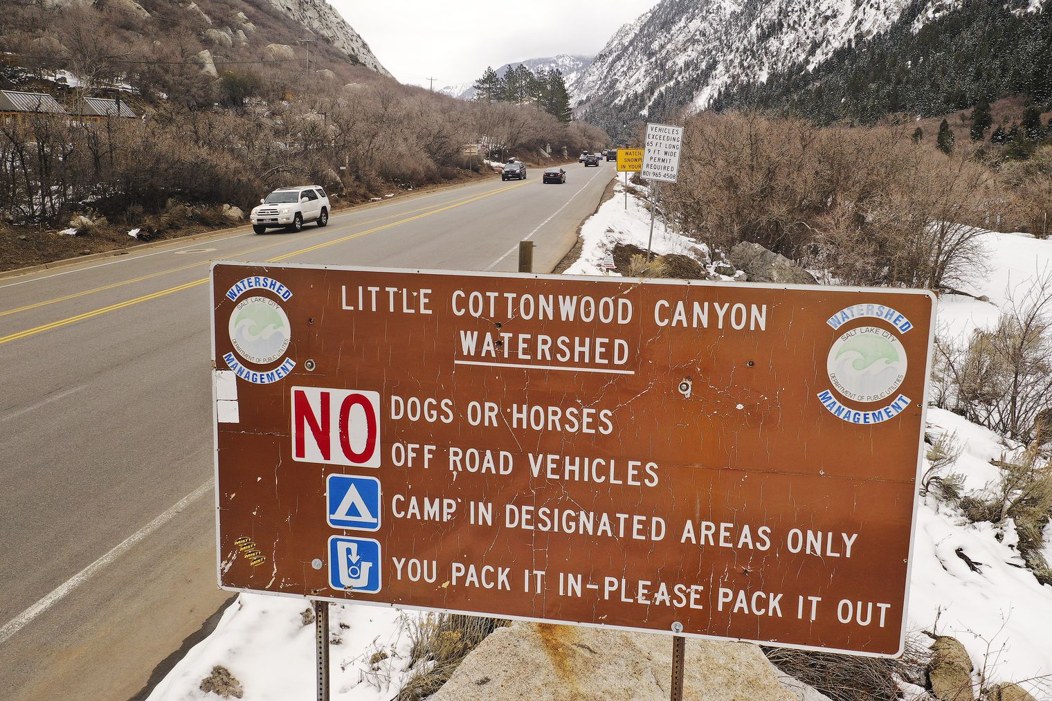 Legislative committee takes a pass on dogs in Wasatch canyons